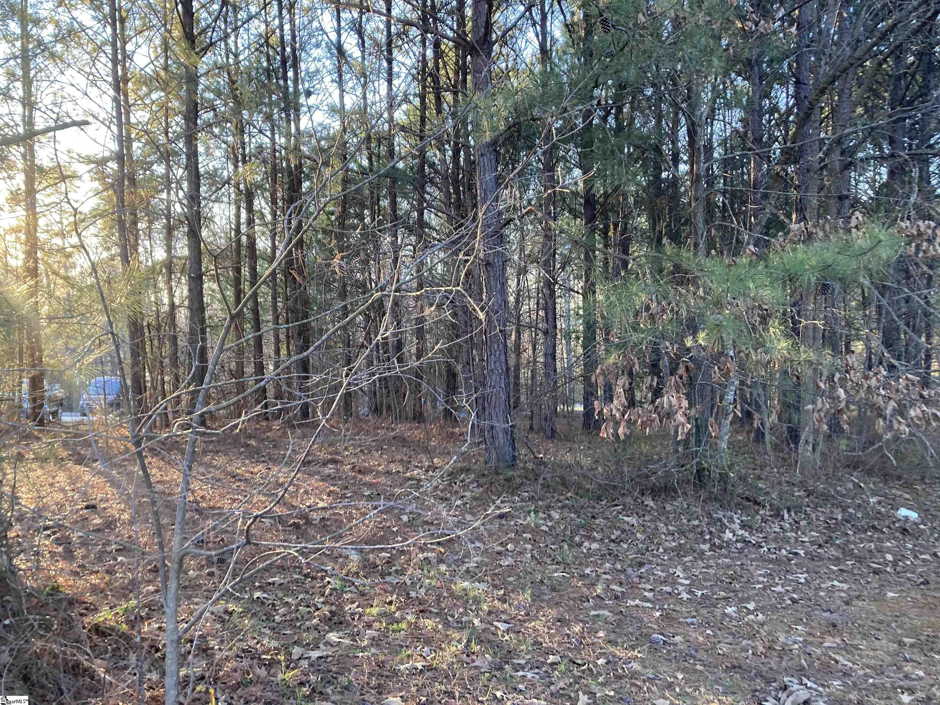 6 Dogwood, Townville, South Carolina image 3