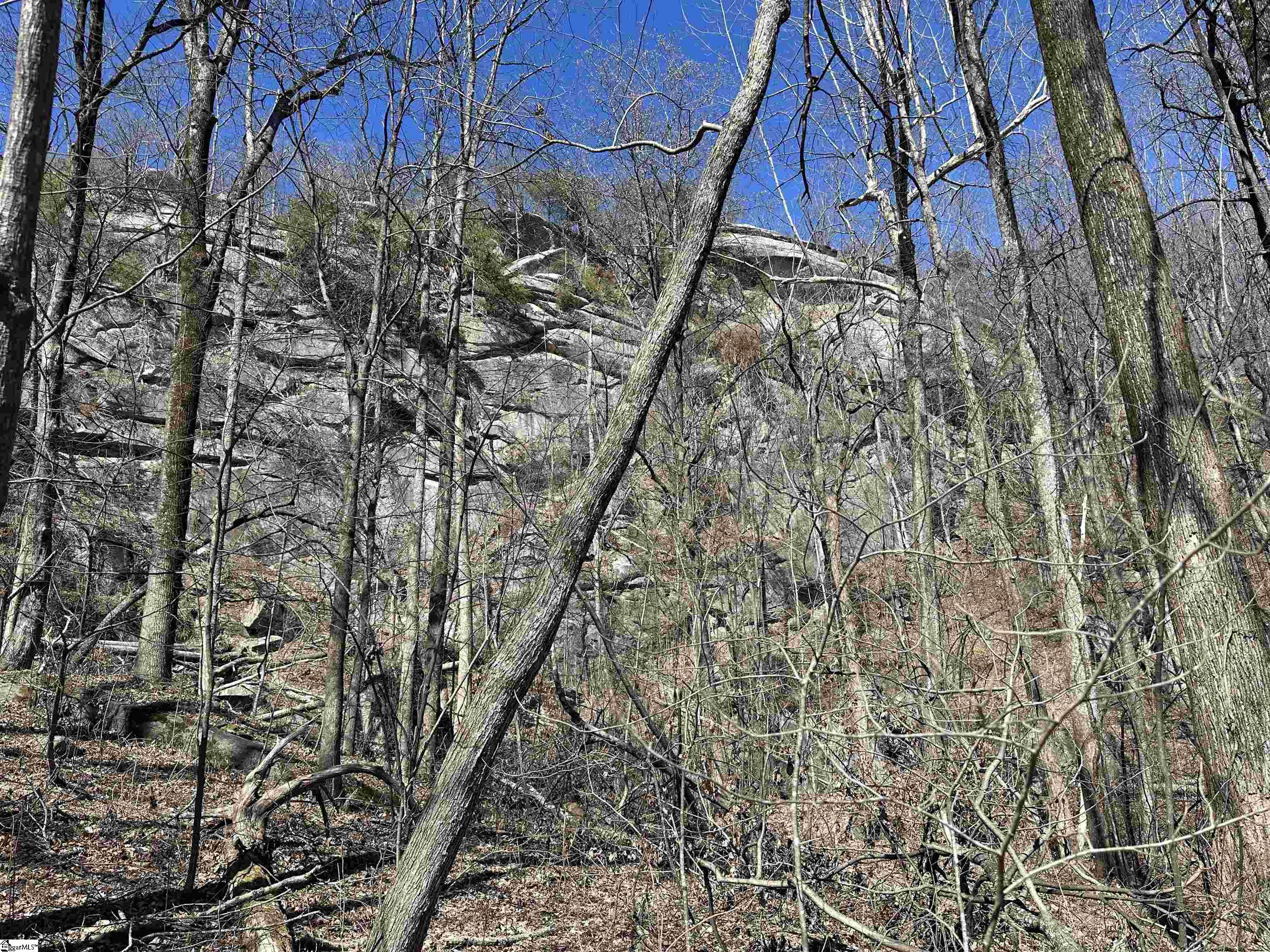 High Country, Landrum, South Carolina image 1