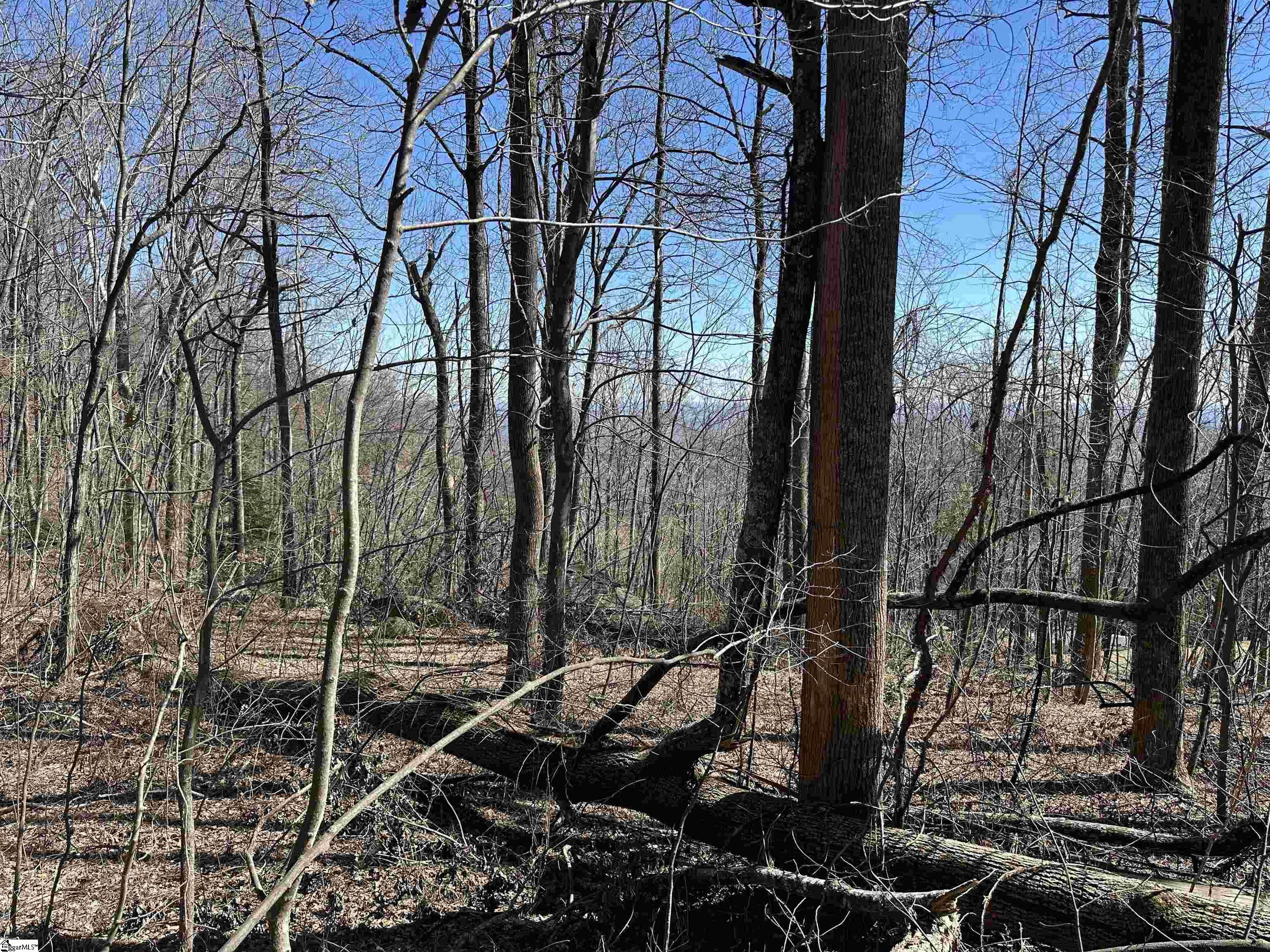 High Country, Landrum, South Carolina image 2