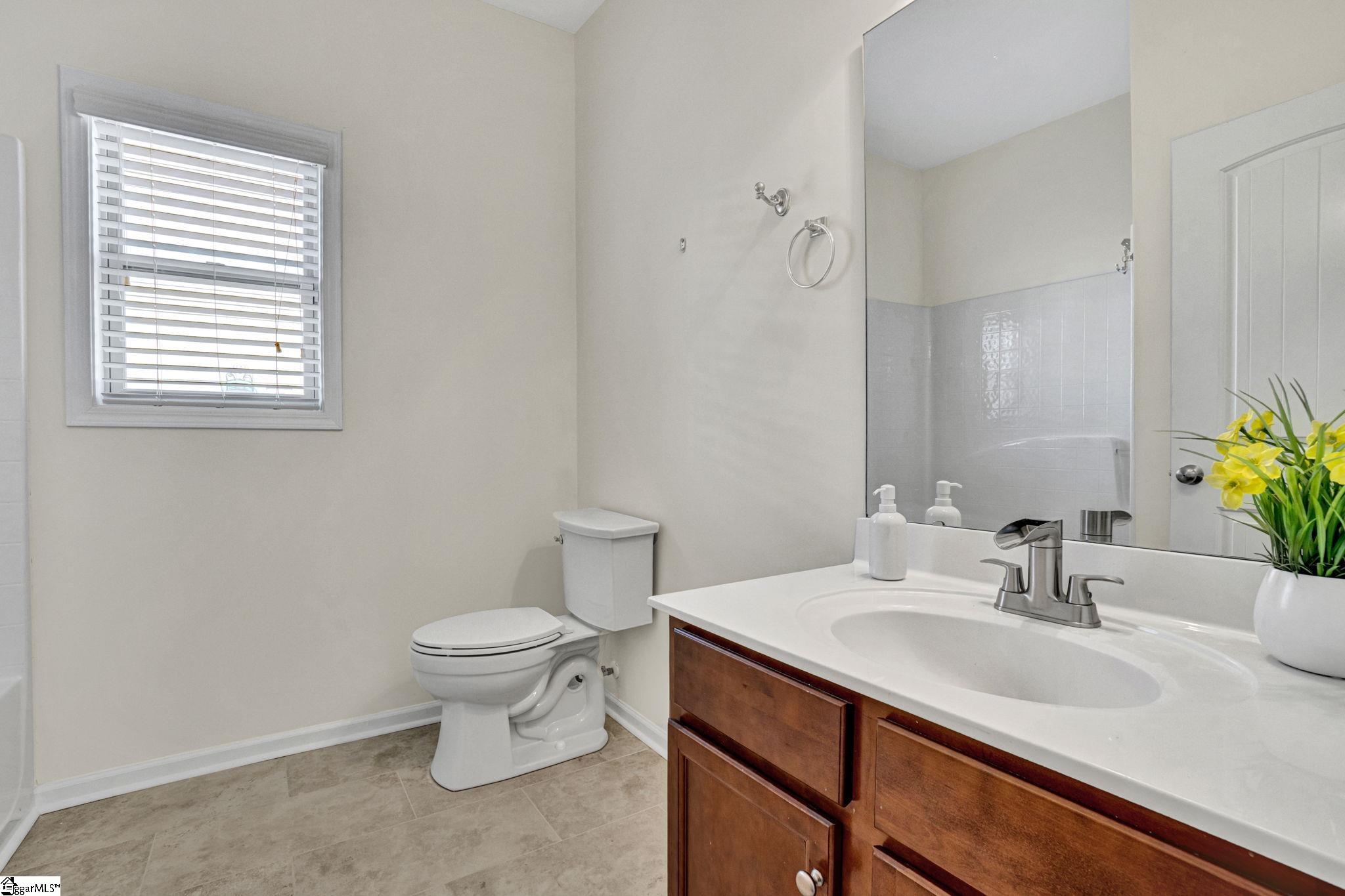 217 Raven Falls, Simpsonville, South Carolina image 13