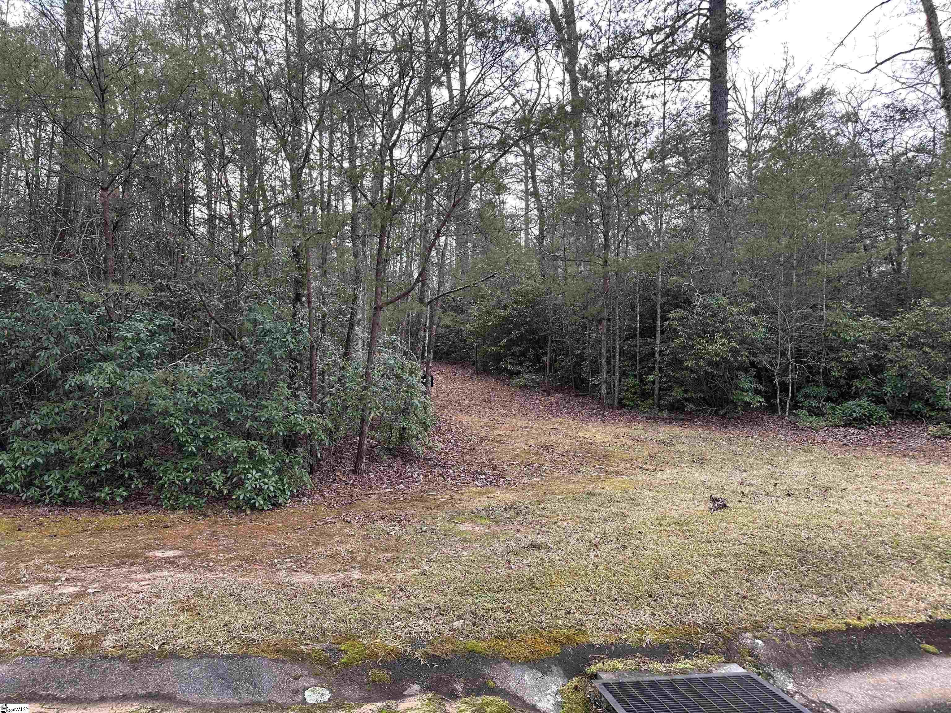 105 Valley Lake, Travelers Rest, South Carolina image 4