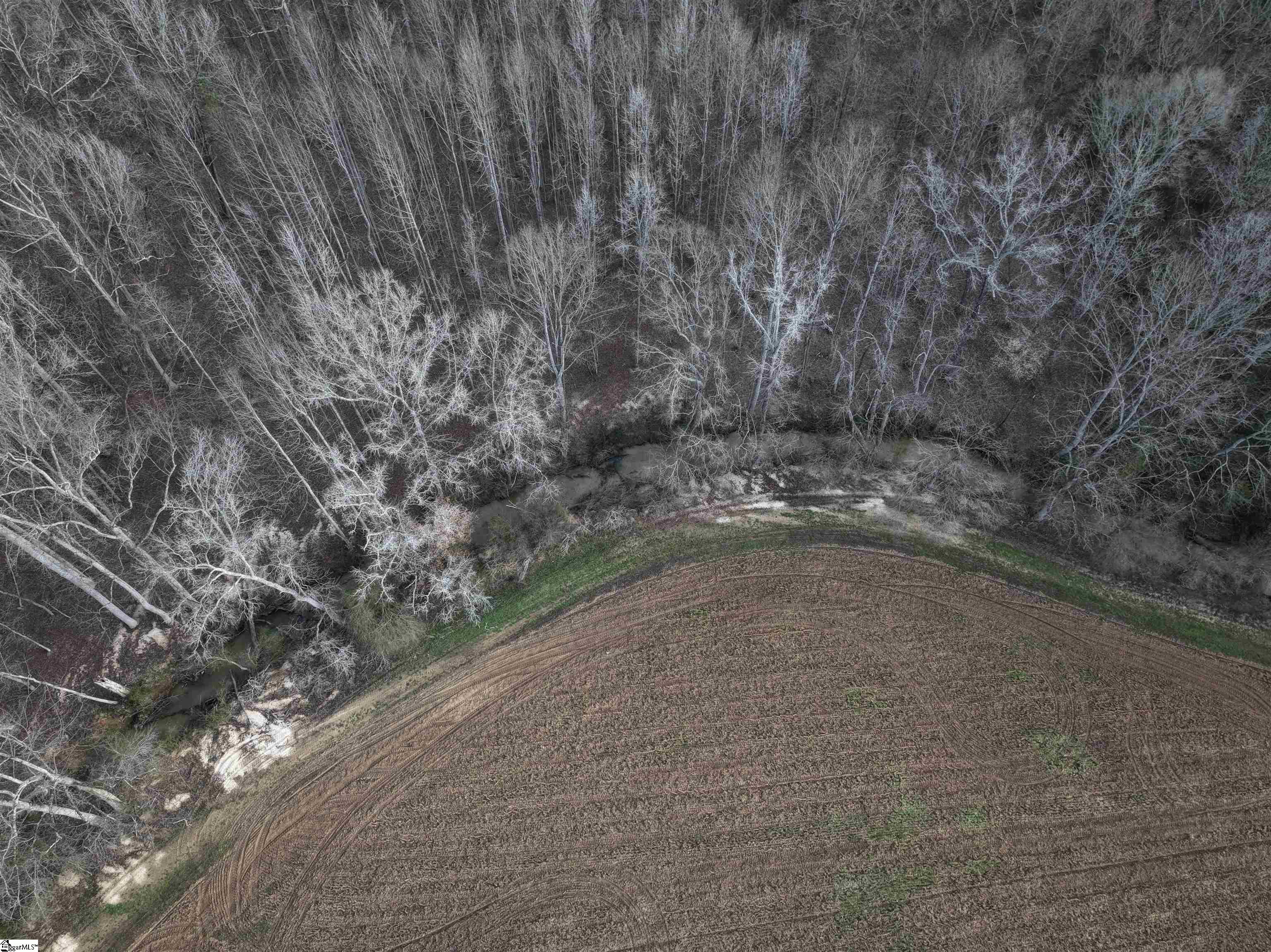 2087 Earls Bridge, Easley, South Carolina image 6