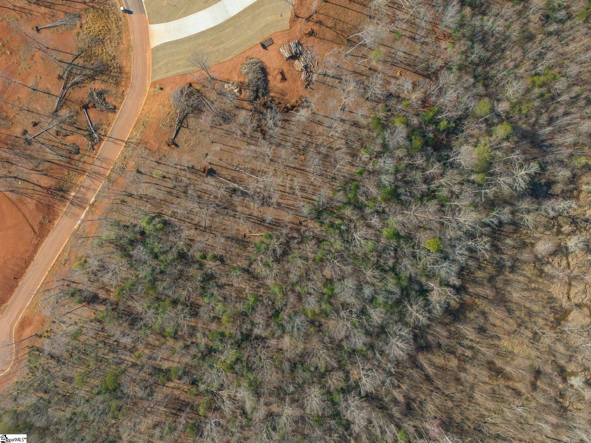 117 Maria, Greer, South Carolina image 14