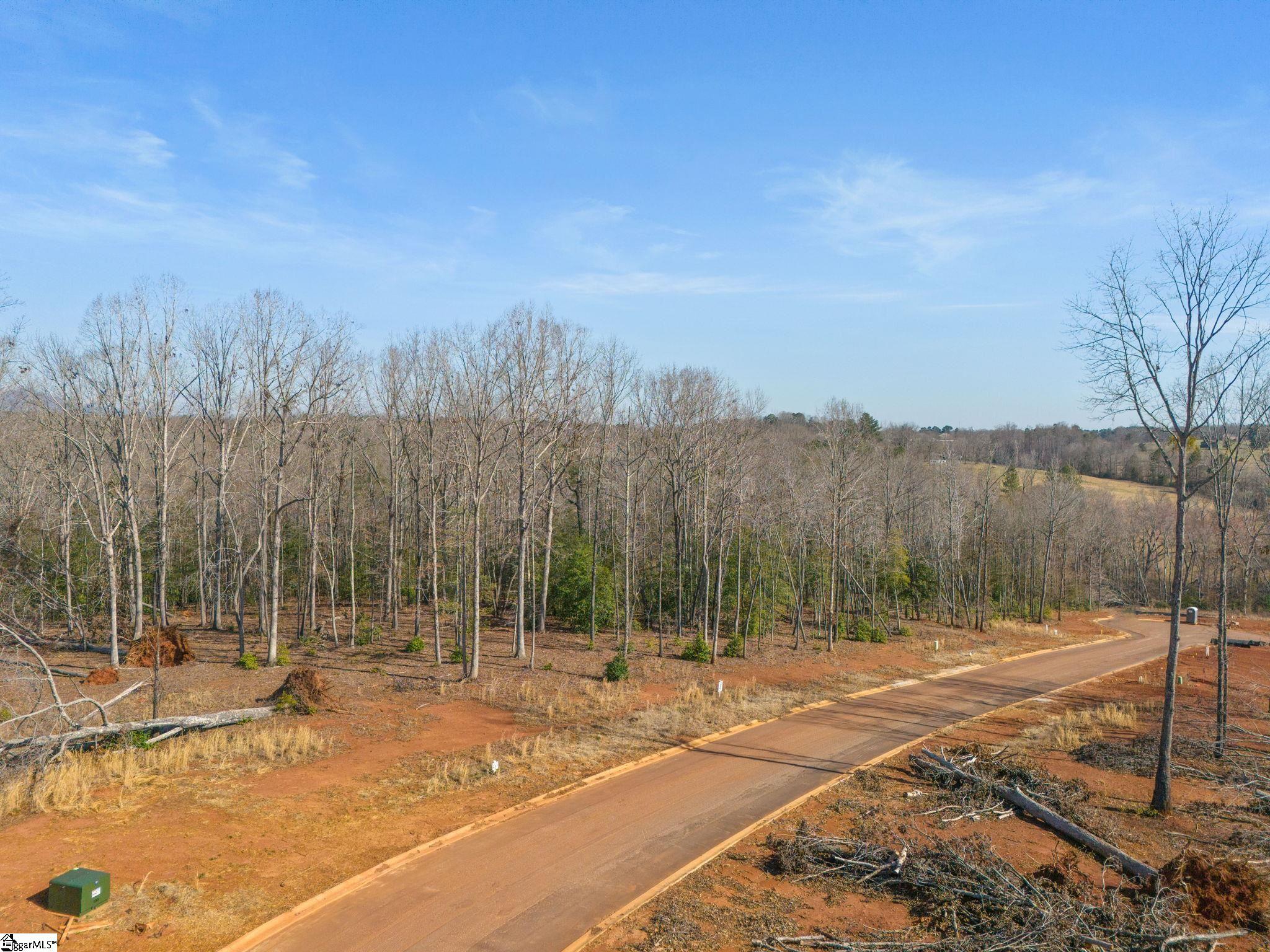 117 Maria, Greer, South Carolina image 10