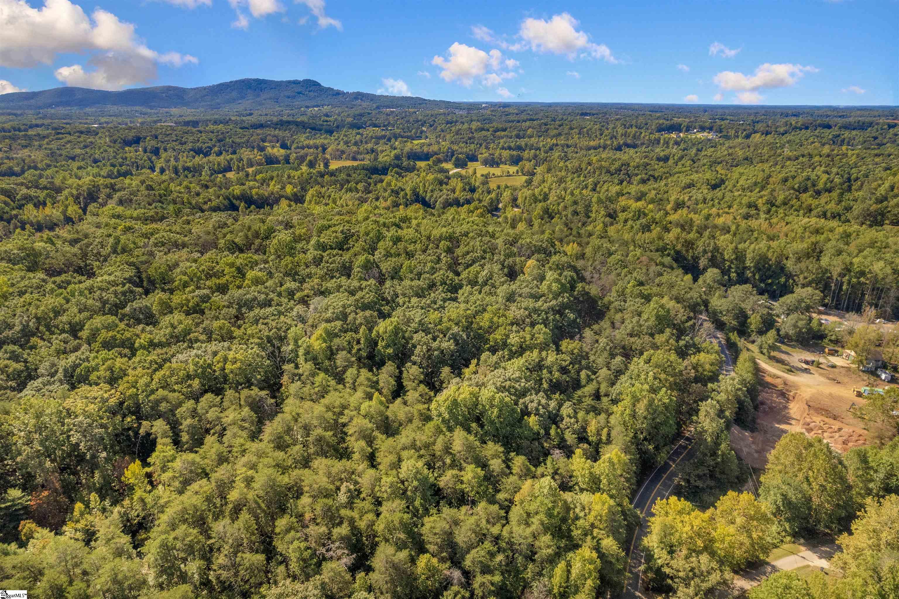 Tubbs Mountain, Travelers Rest, South Carolina image 2