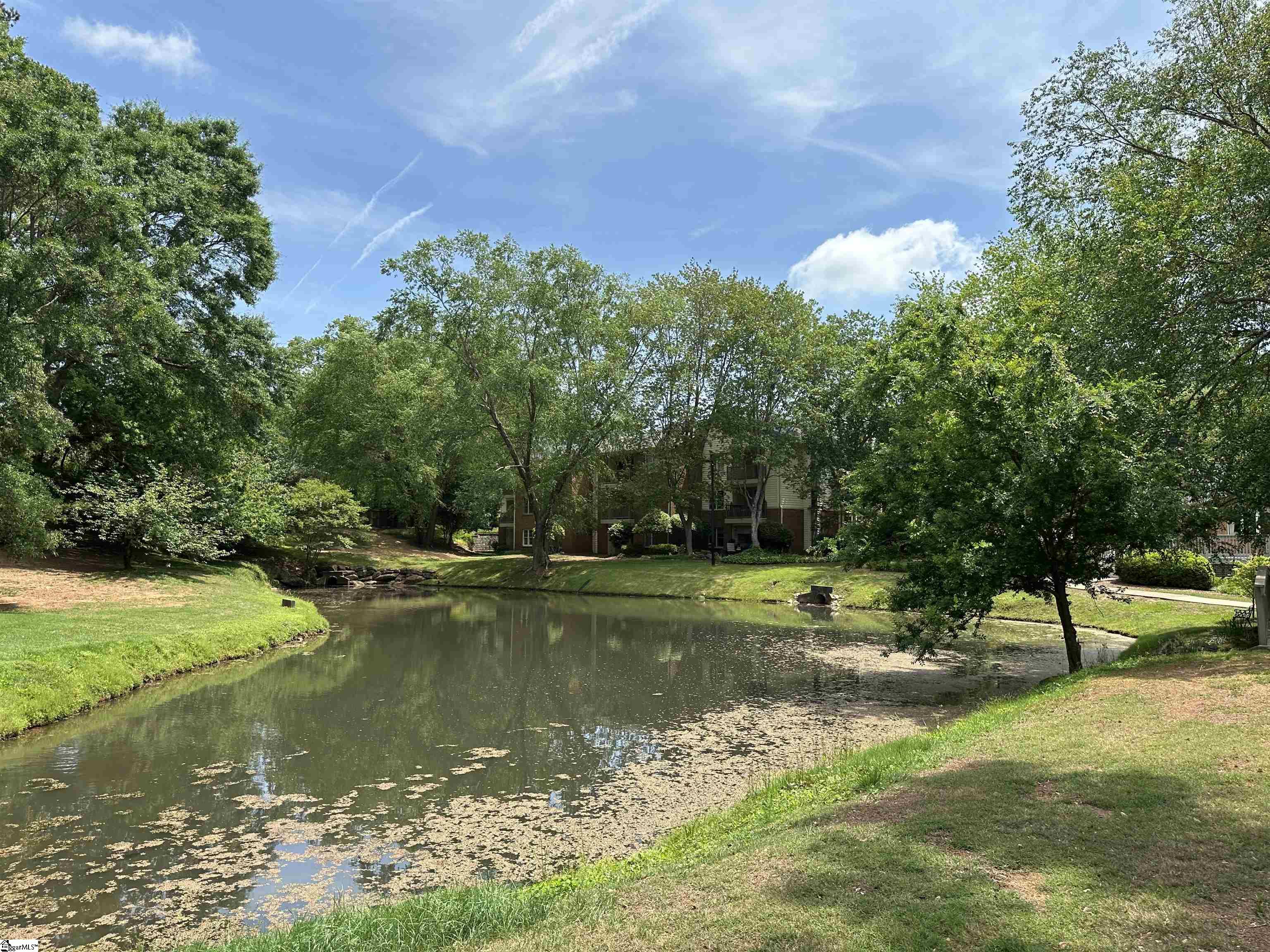 108 Swansgate, Greenville, South Carolina image 21