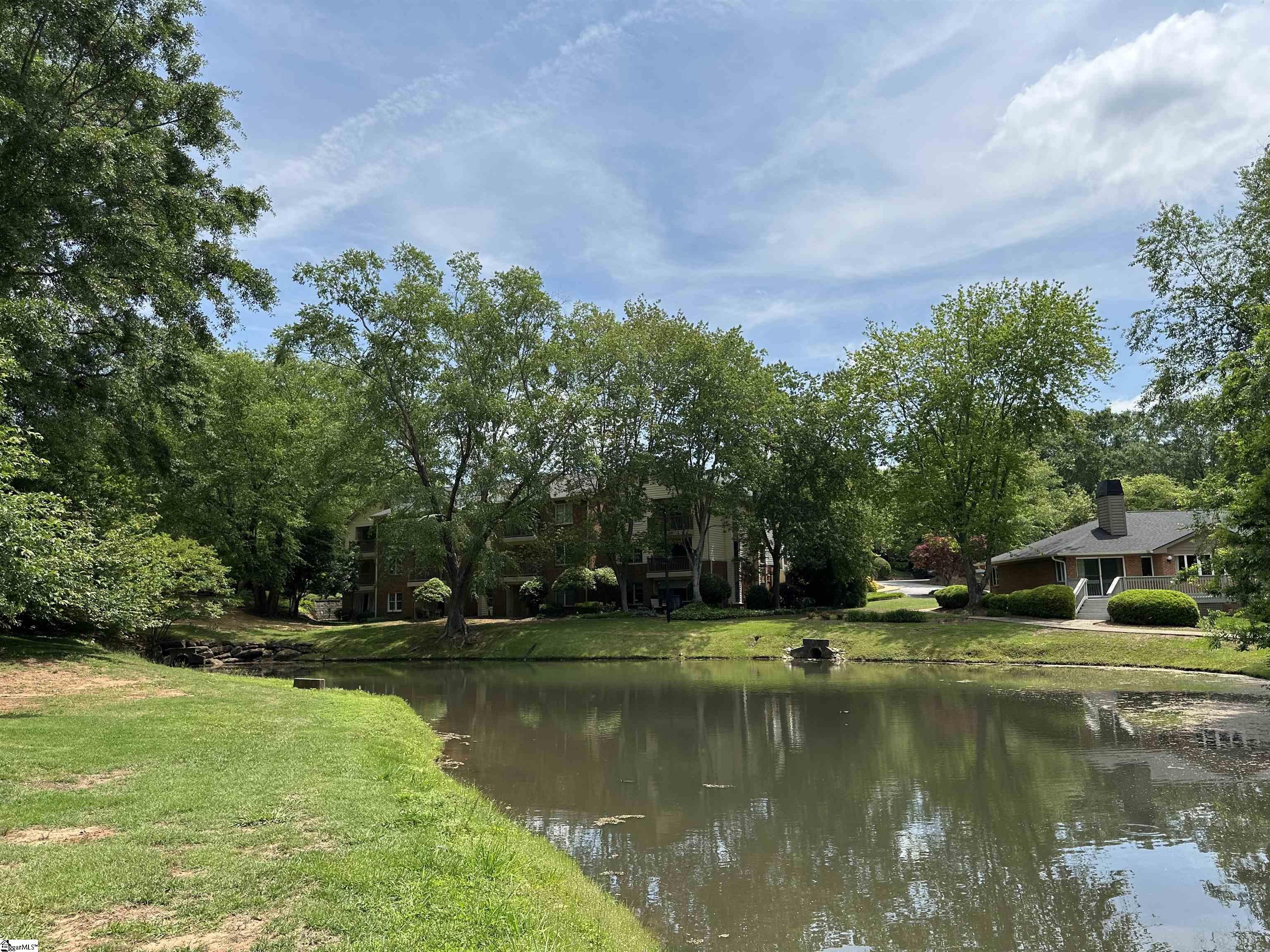 108 Swansgate, Greenville, South Carolina image 23