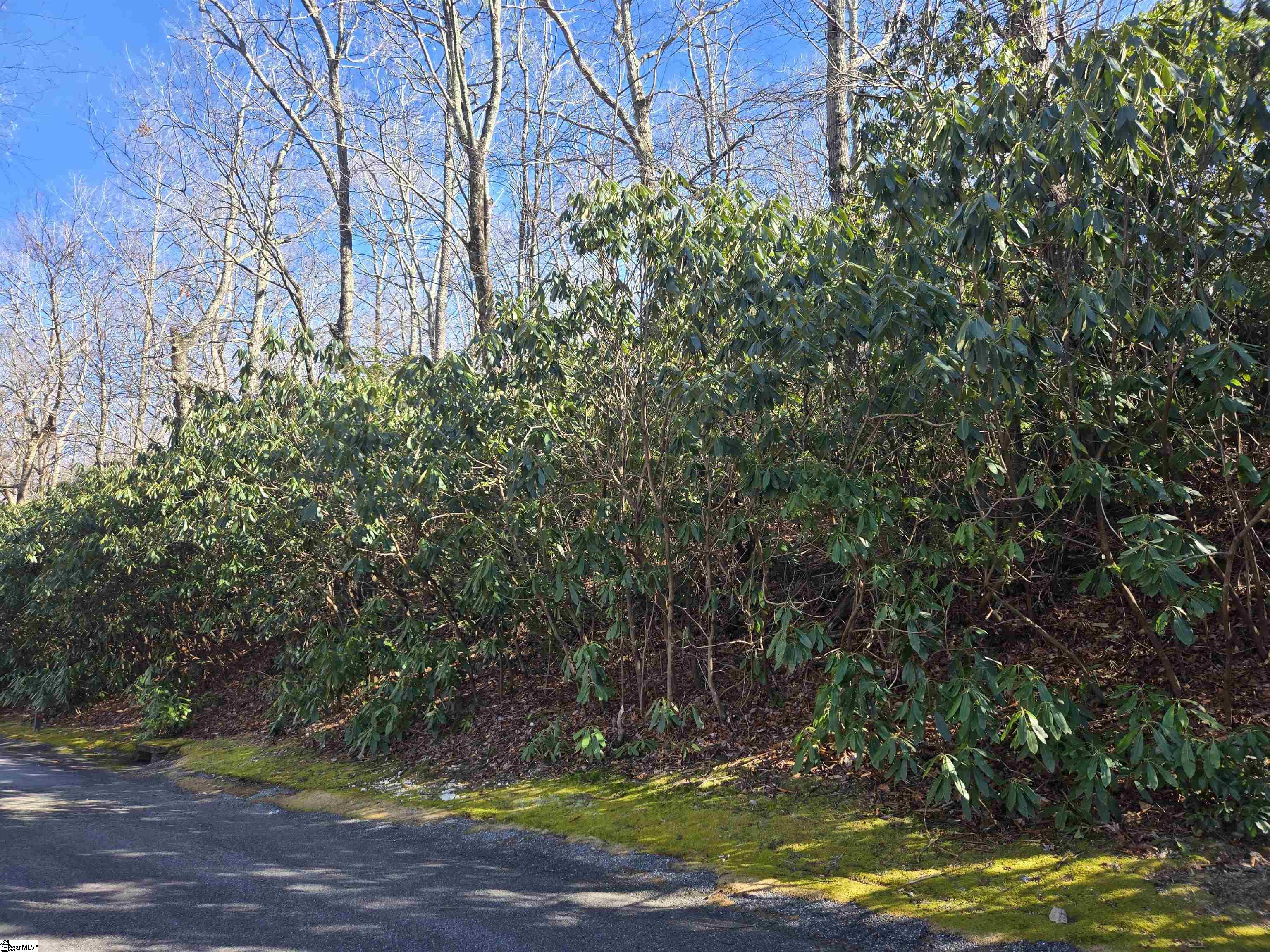 620 Cliff Ridge, Cleveland, South Carolina image 4