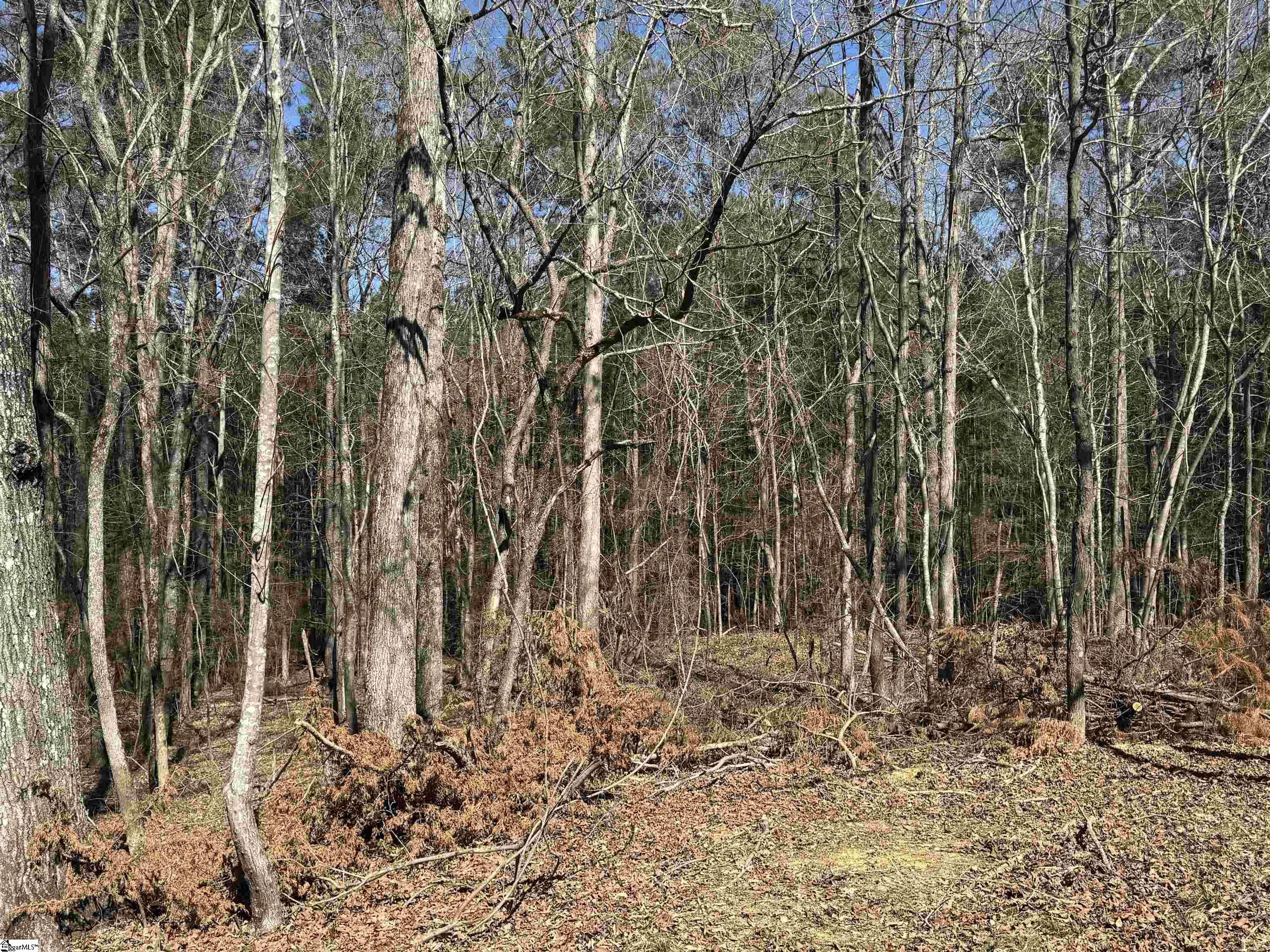 898 Mountain Lakes, Chesterfield, South Carolina image 2