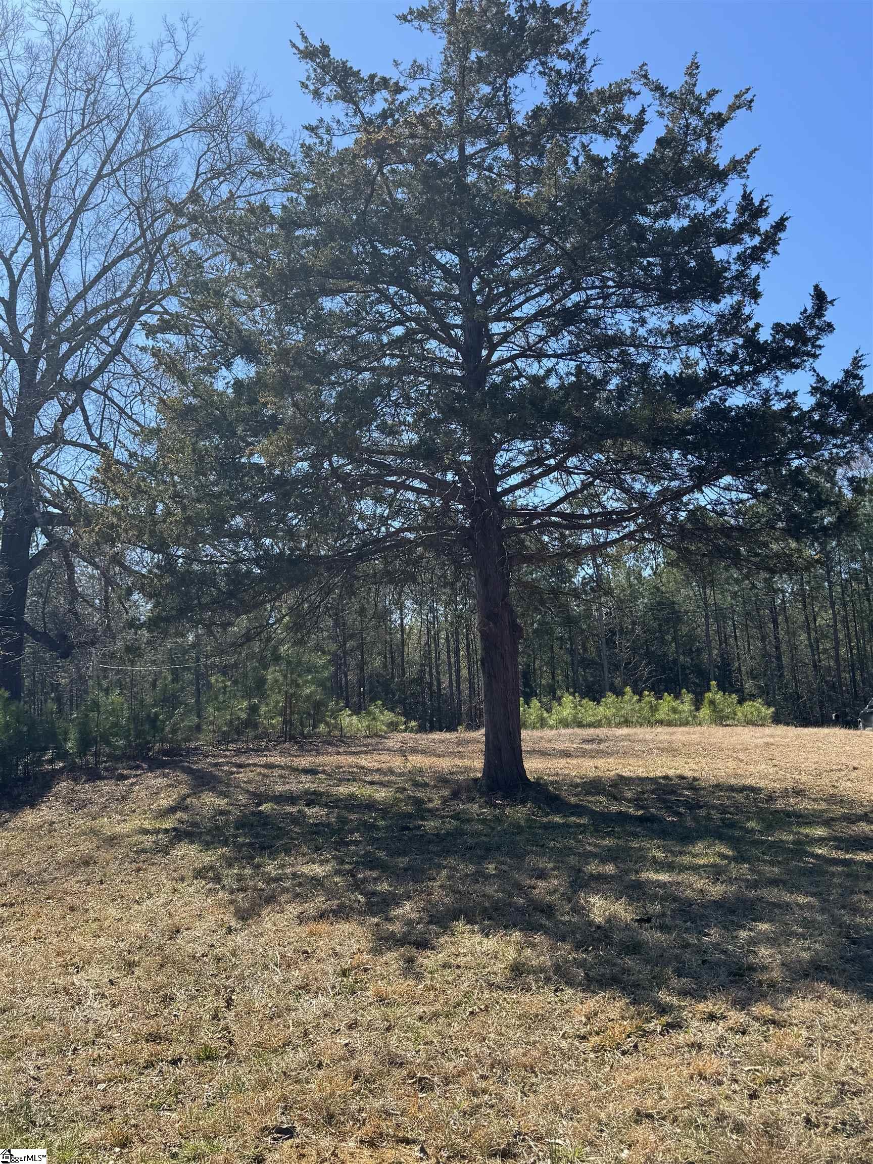 898 Mountain Lakes, Chesterfield, South Carolina image 3