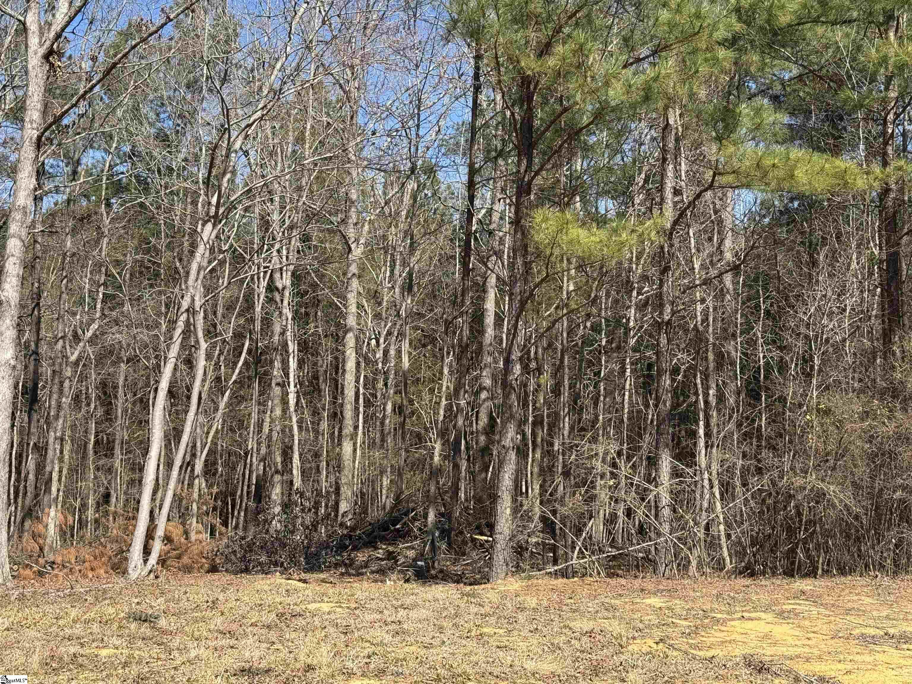 898 Mountain Lakes, Chesterfield, South Carolina image 5