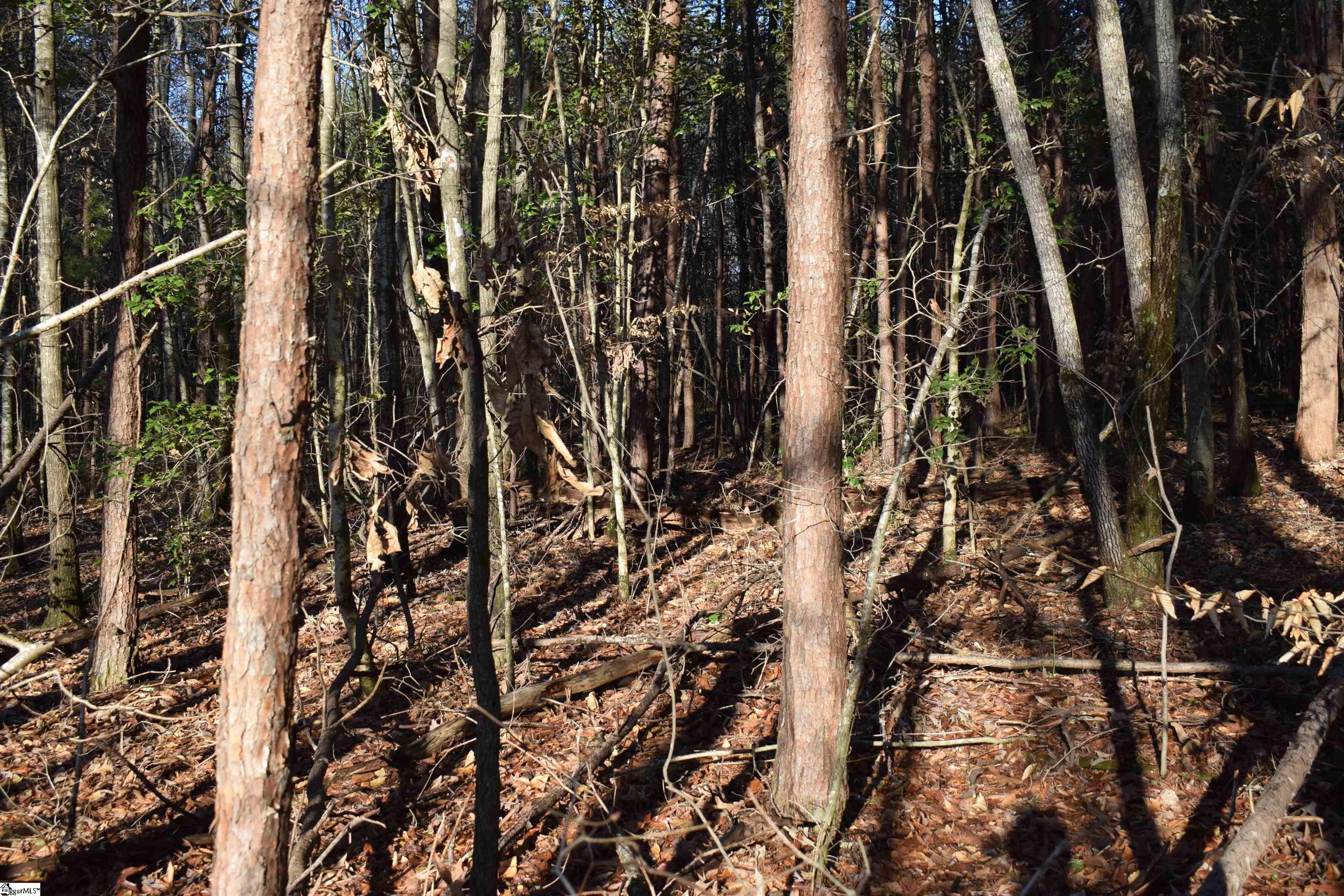 226 Ford, Landrum, South Carolina image 11