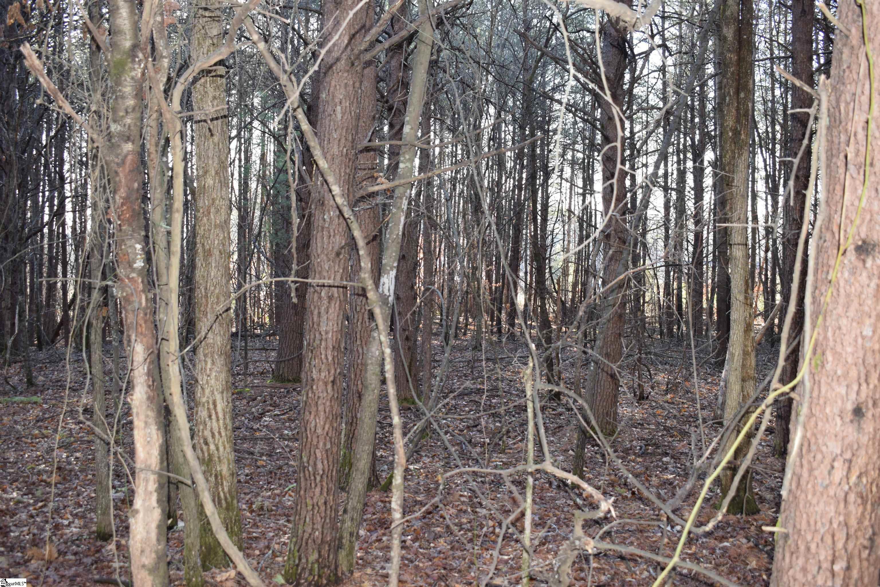 226 Ford, Landrum, South Carolina image 12