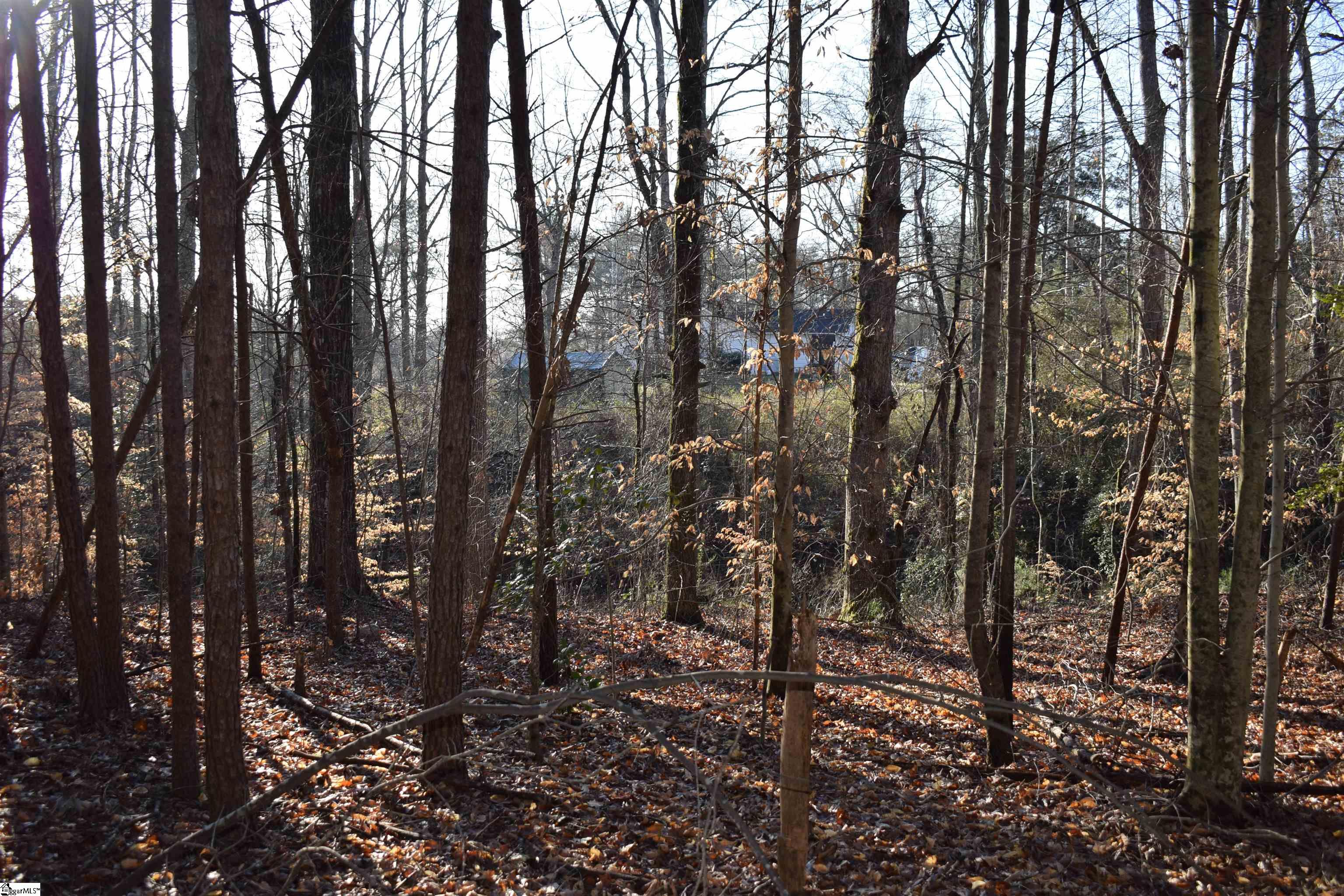 226 Ford, Landrum, South Carolina image 13