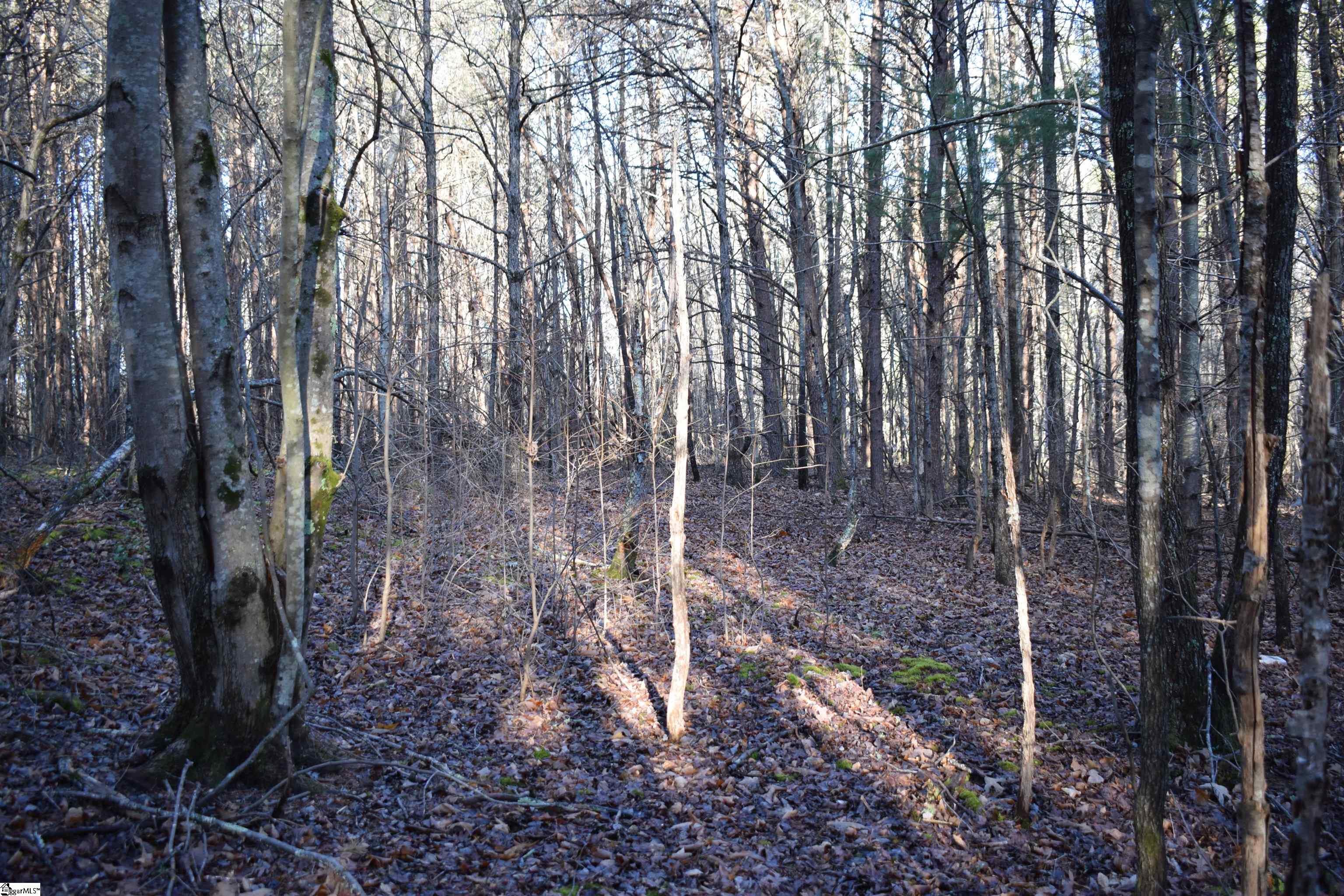 226 Ford, Landrum, South Carolina image 17