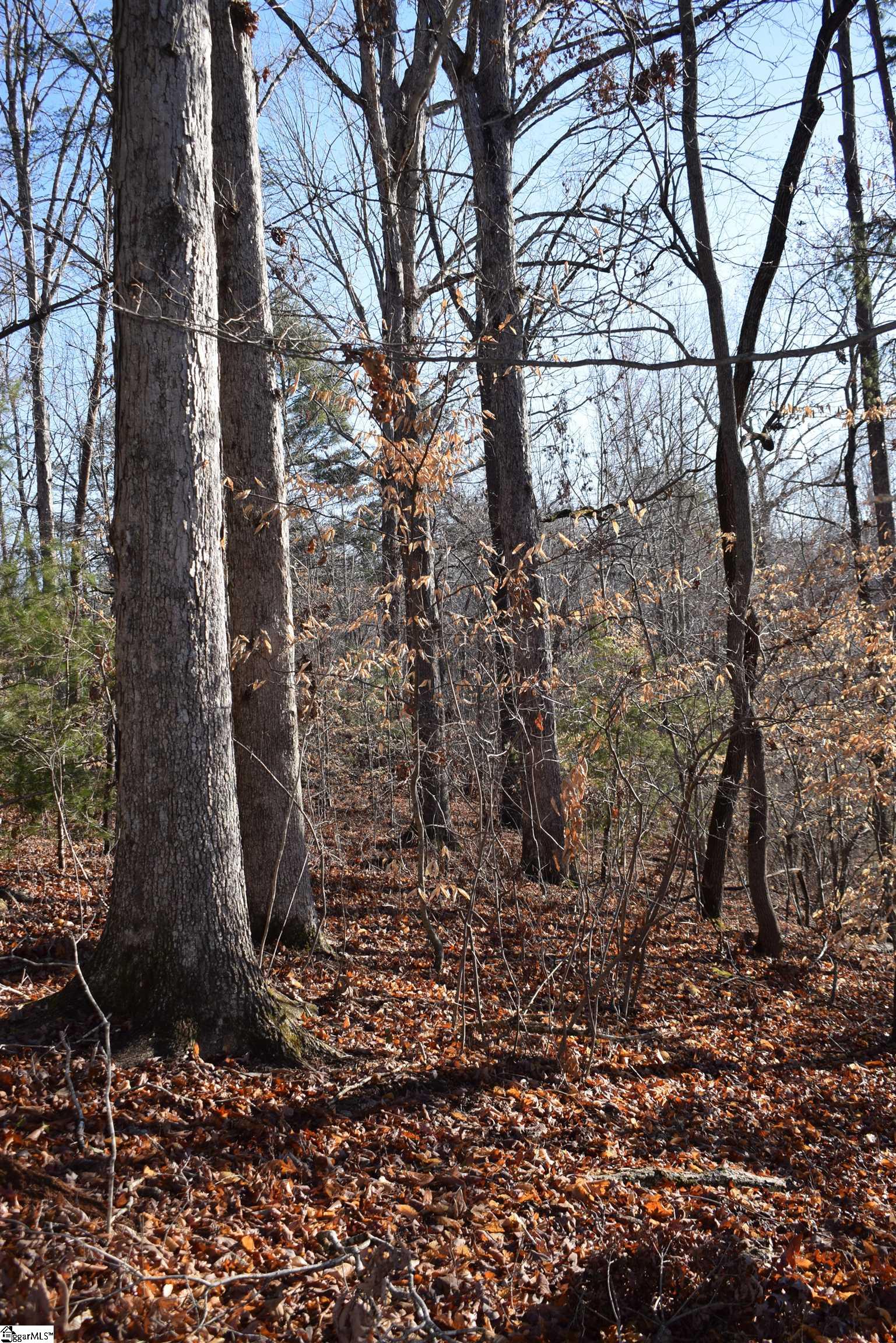226 Ford, Landrum, South Carolina image 3