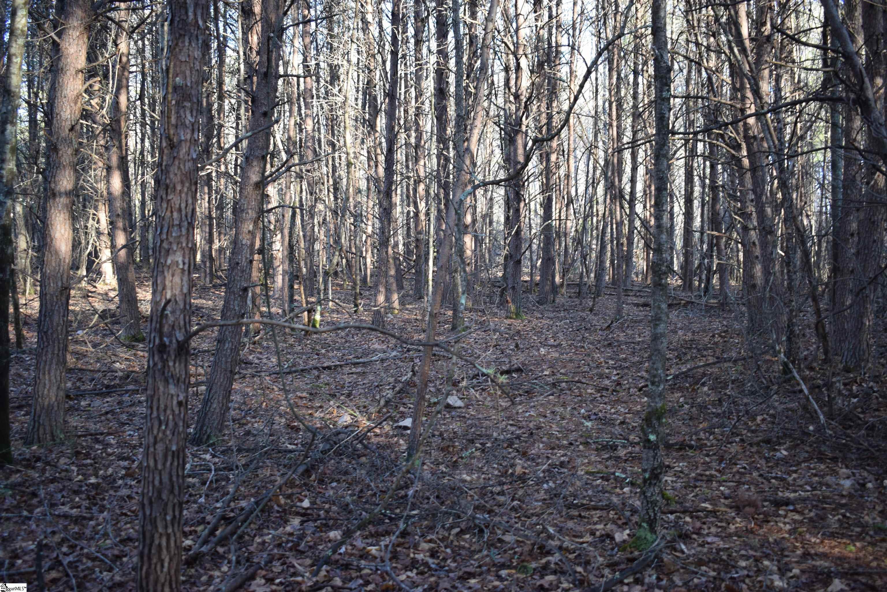 226 Ford, Landrum, South Carolina image 21