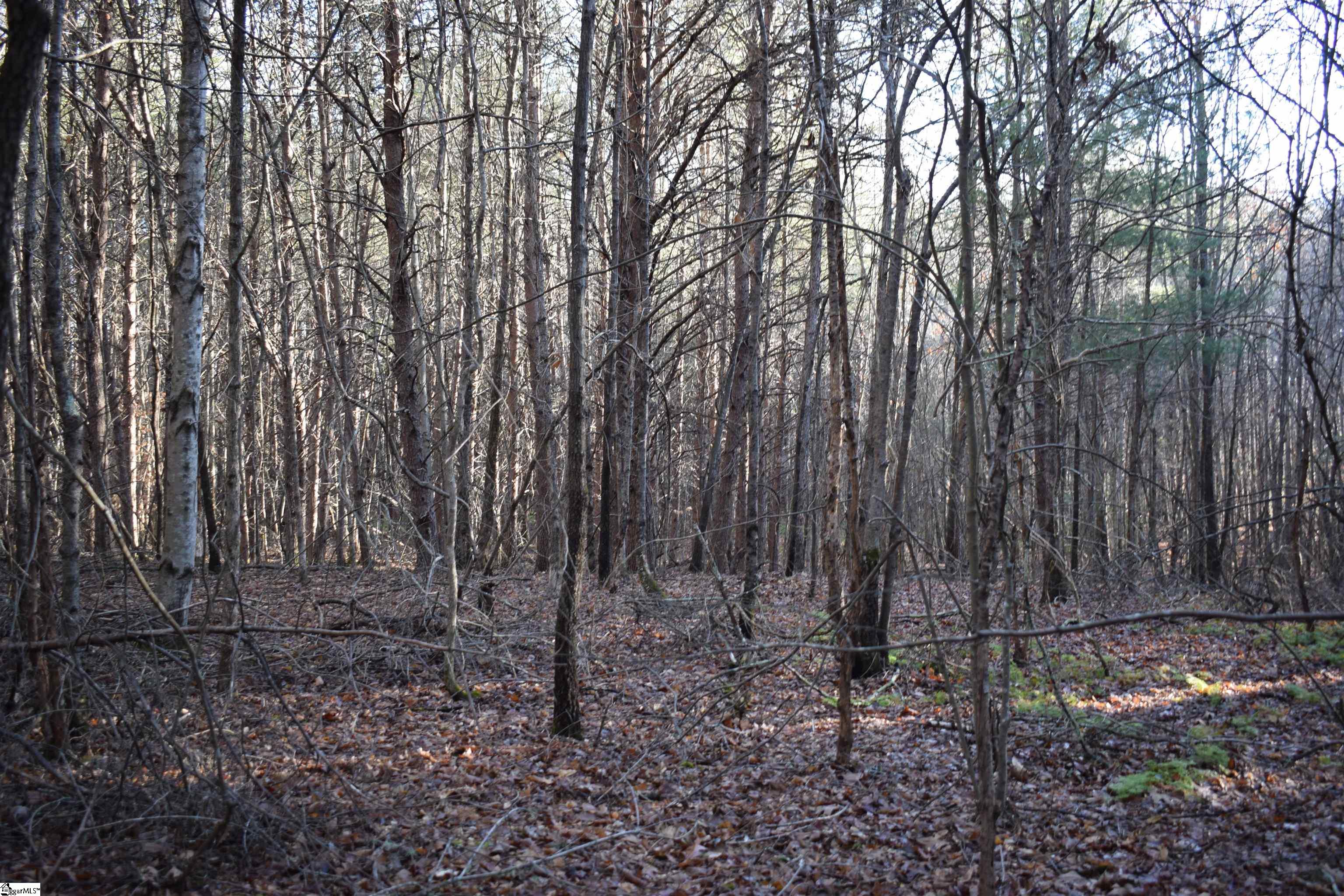 226 Ford, Landrum, South Carolina image 26
