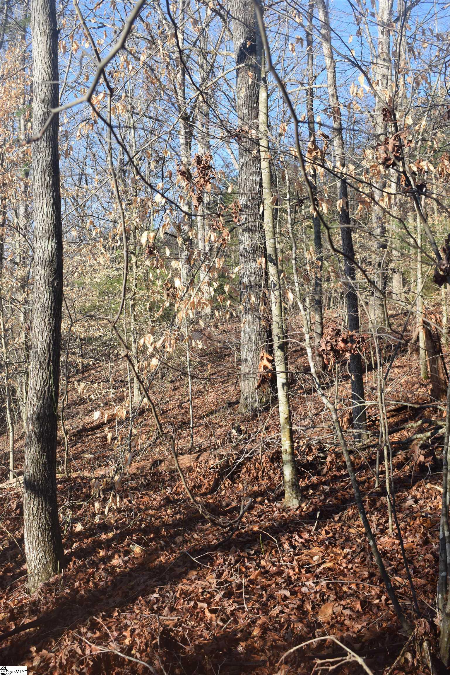 226 Ford, Landrum, South Carolina image 6