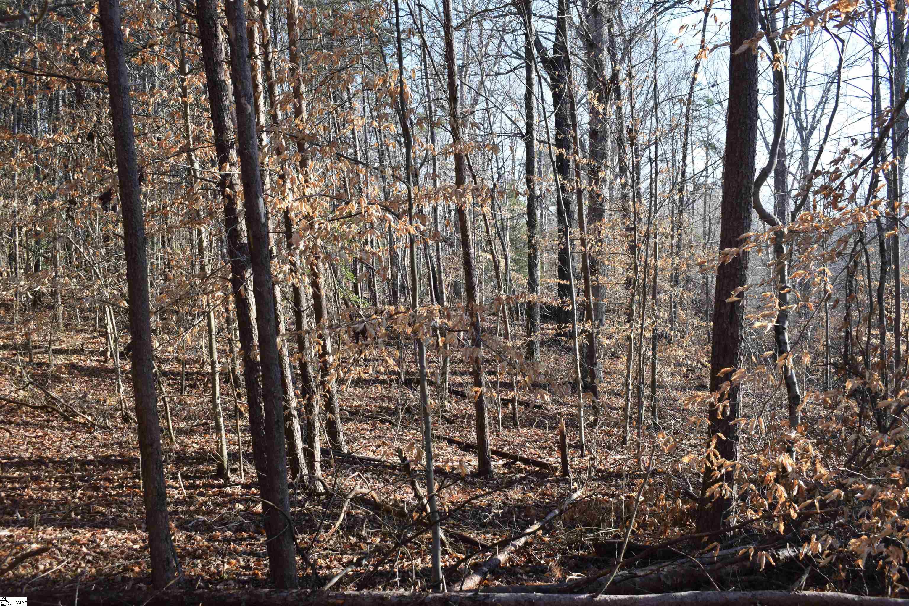 226 Ford, Landrum, South Carolina image 7