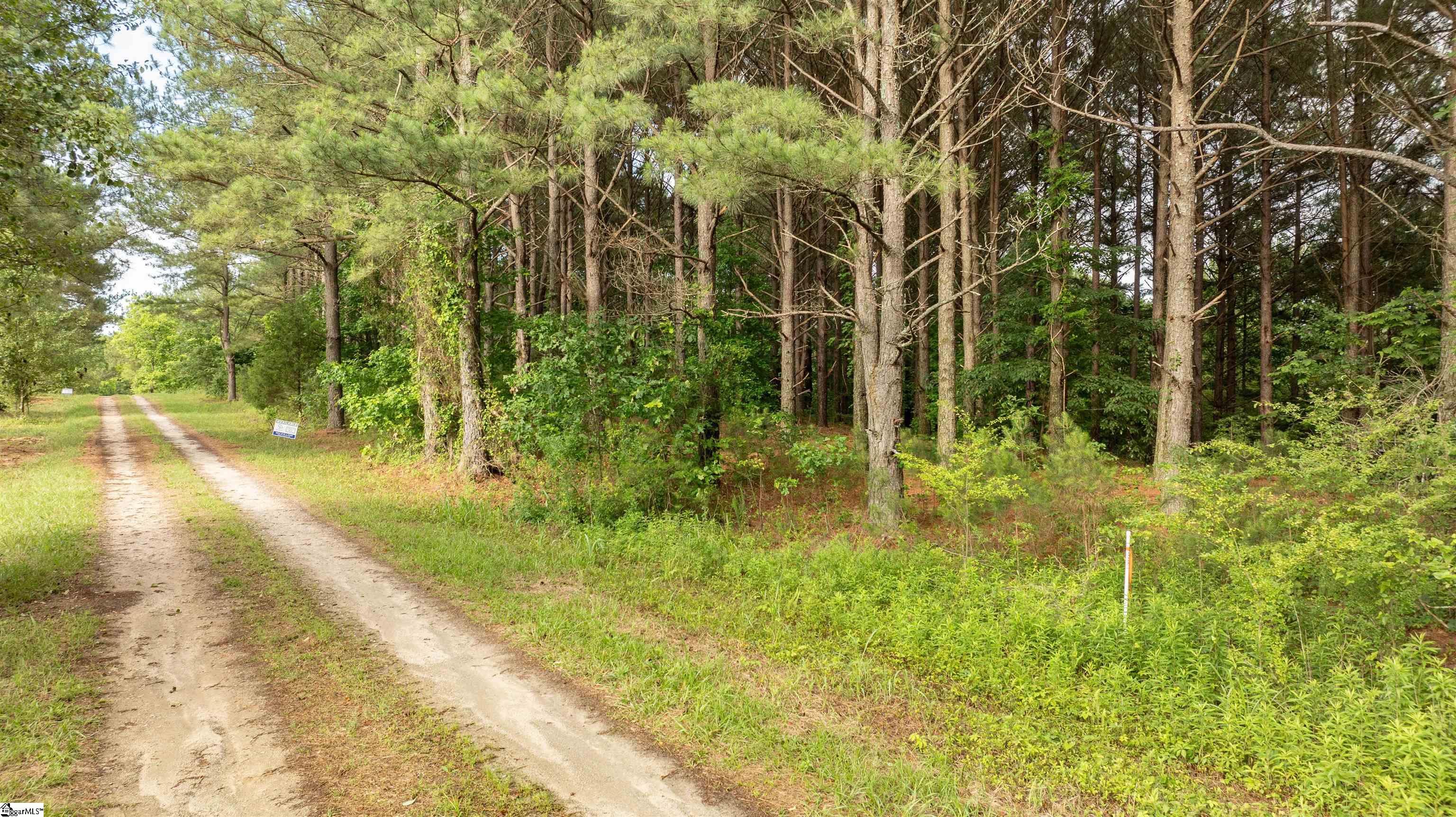 038 Crowder, Kinards, South Carolina image 10