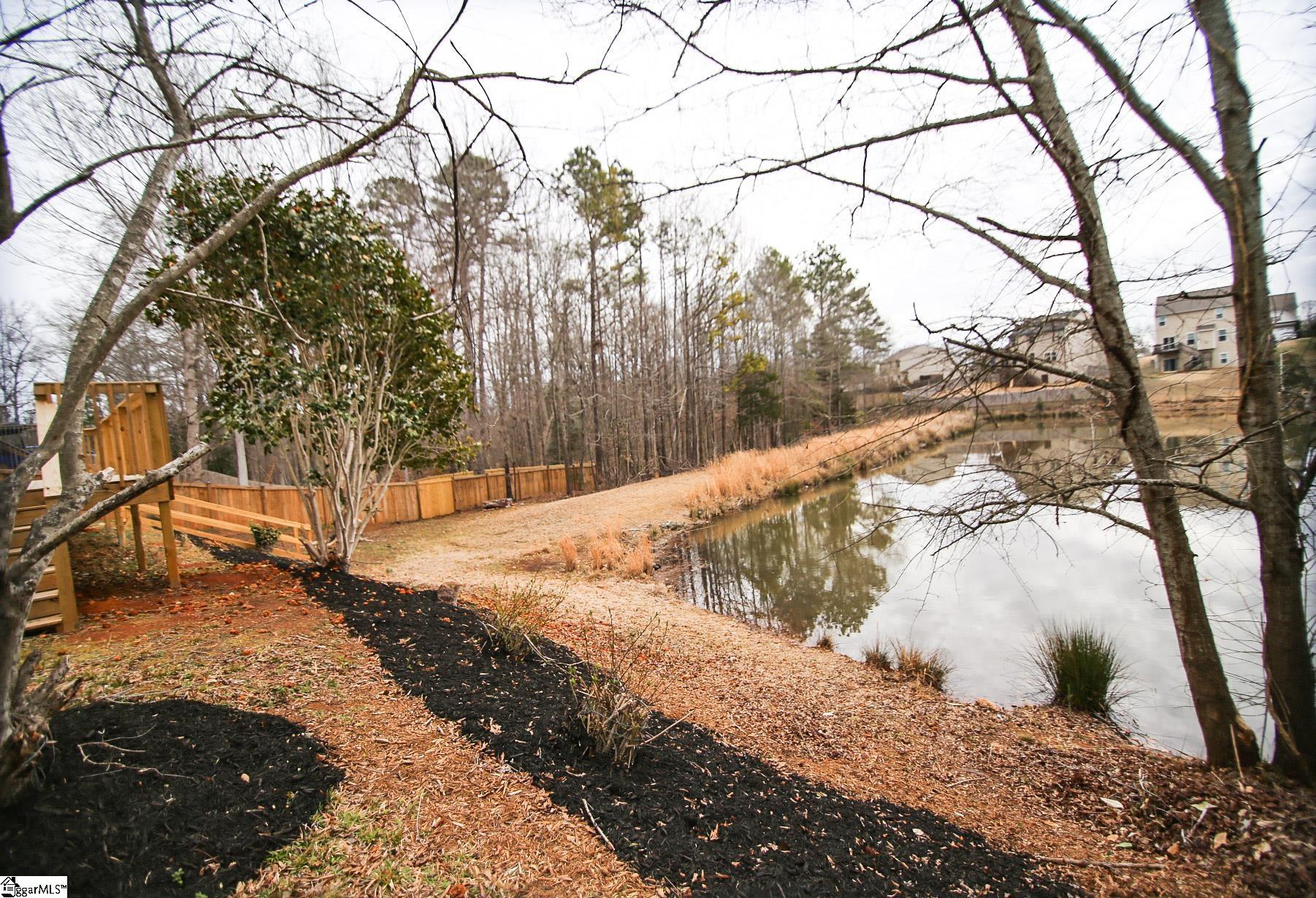 8 Waterthrush, Simpsonville, South Carolina image 31