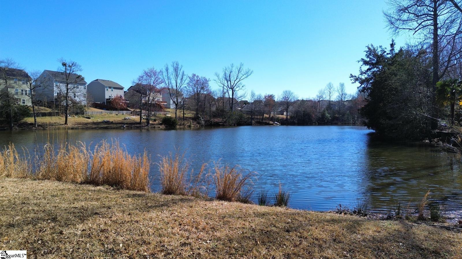 8 Waterthrush, Simpsonville, South Carolina image 35