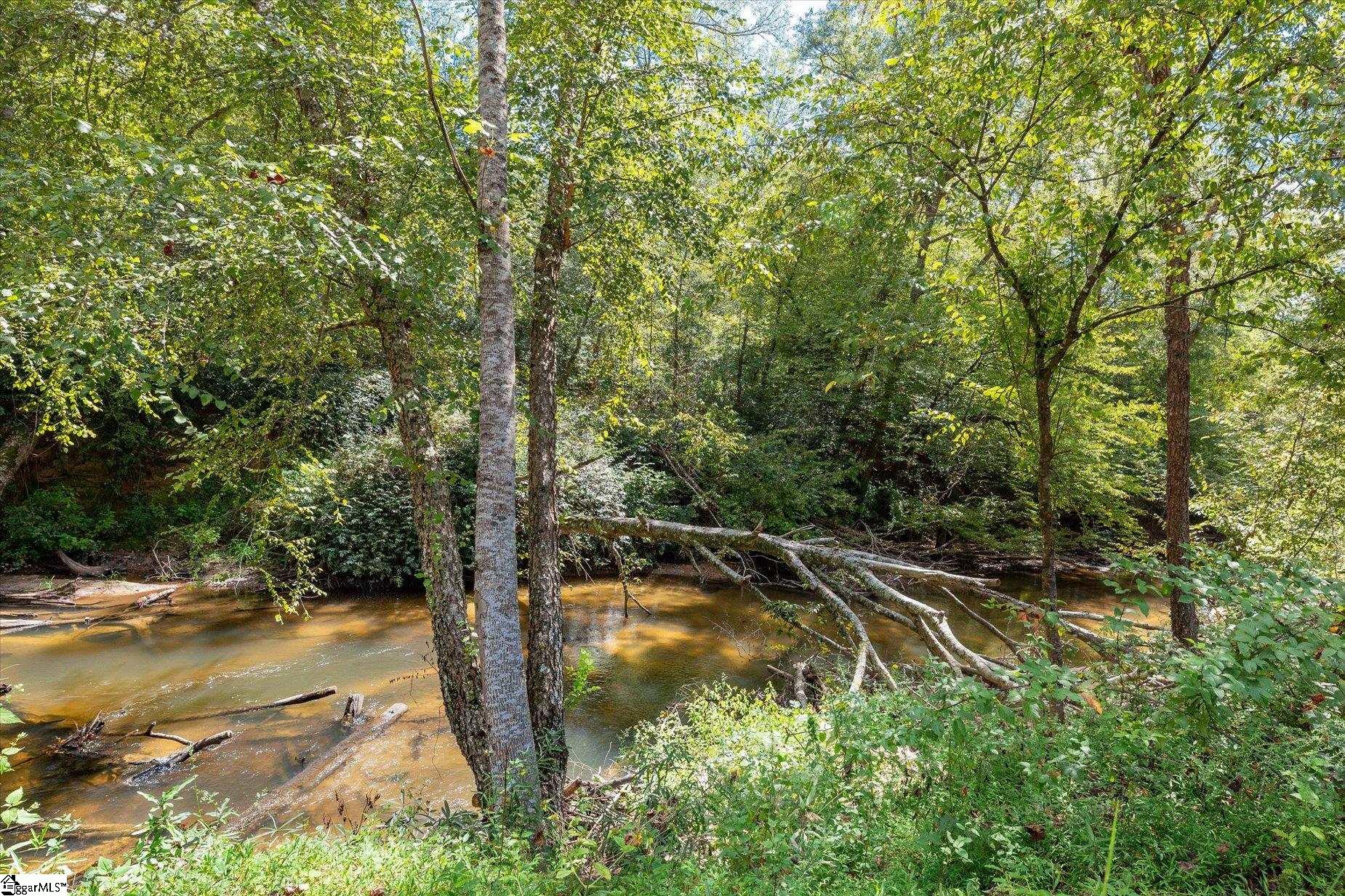 158 Laurel And Hardy Lake, Marietta, South Carolina image 25