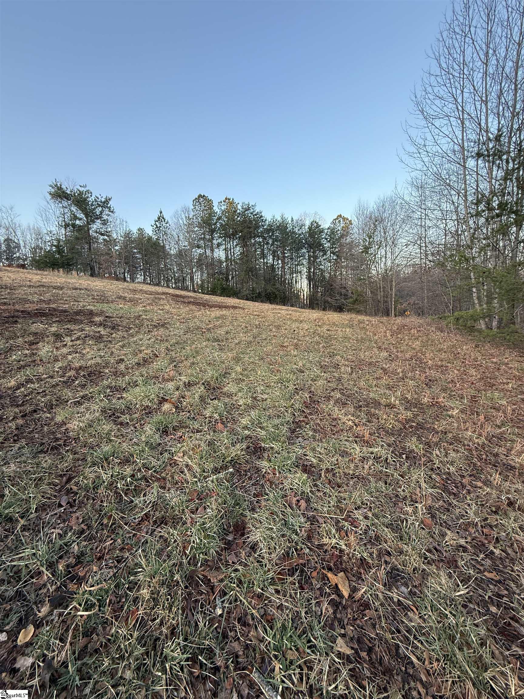 409 Mulberry, Easley, South Carolina image 7