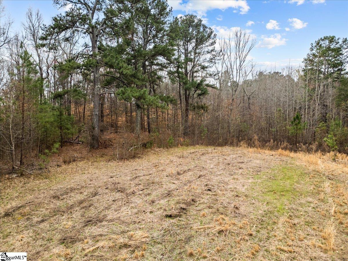 S Garrison, Simpsonville, South Carolina image 4