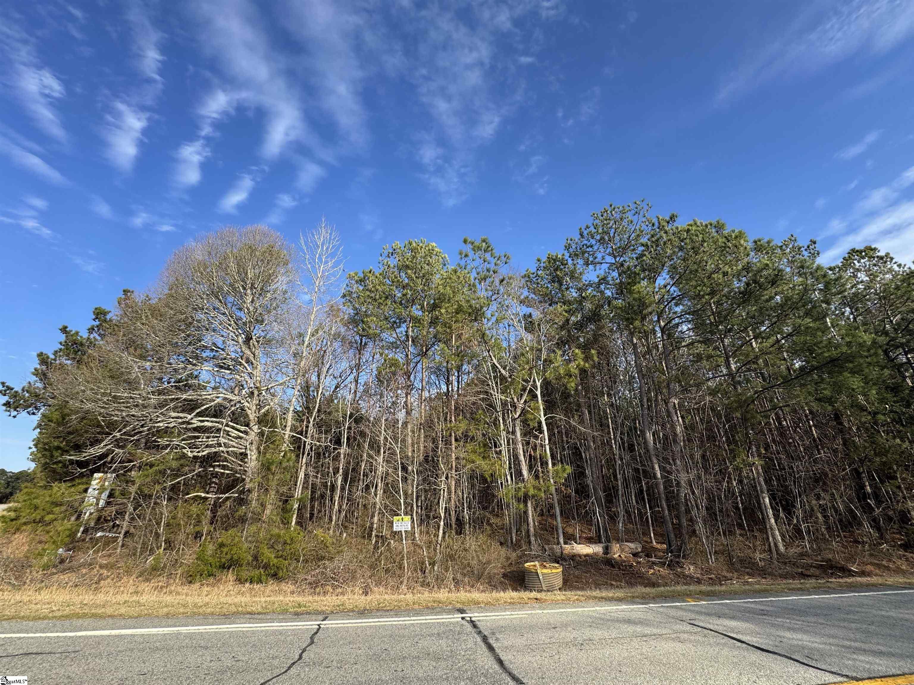 00 Whitmire, Clinton, South Carolina image 1