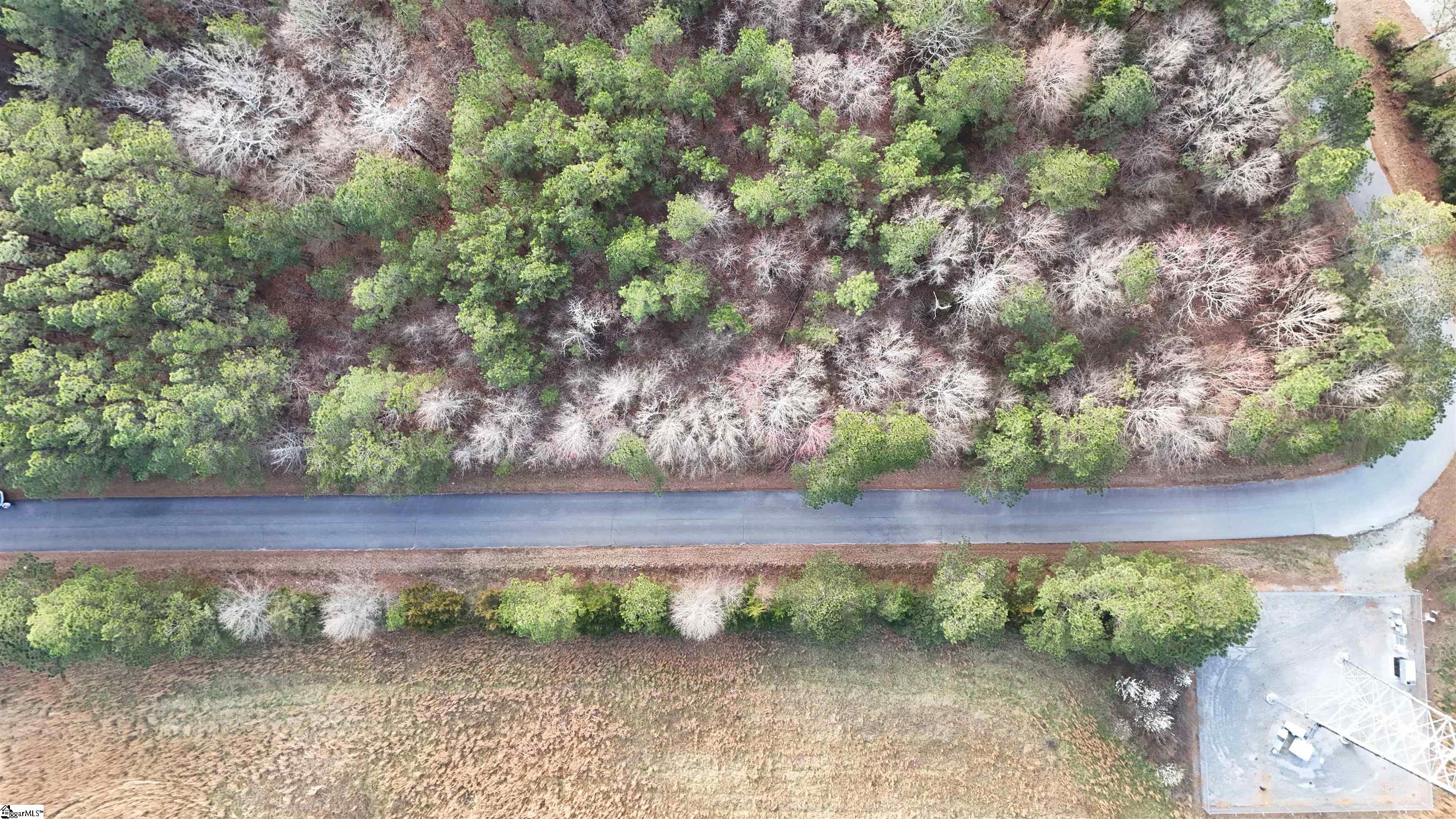 00 Whitmire, Clinton, South Carolina image 17