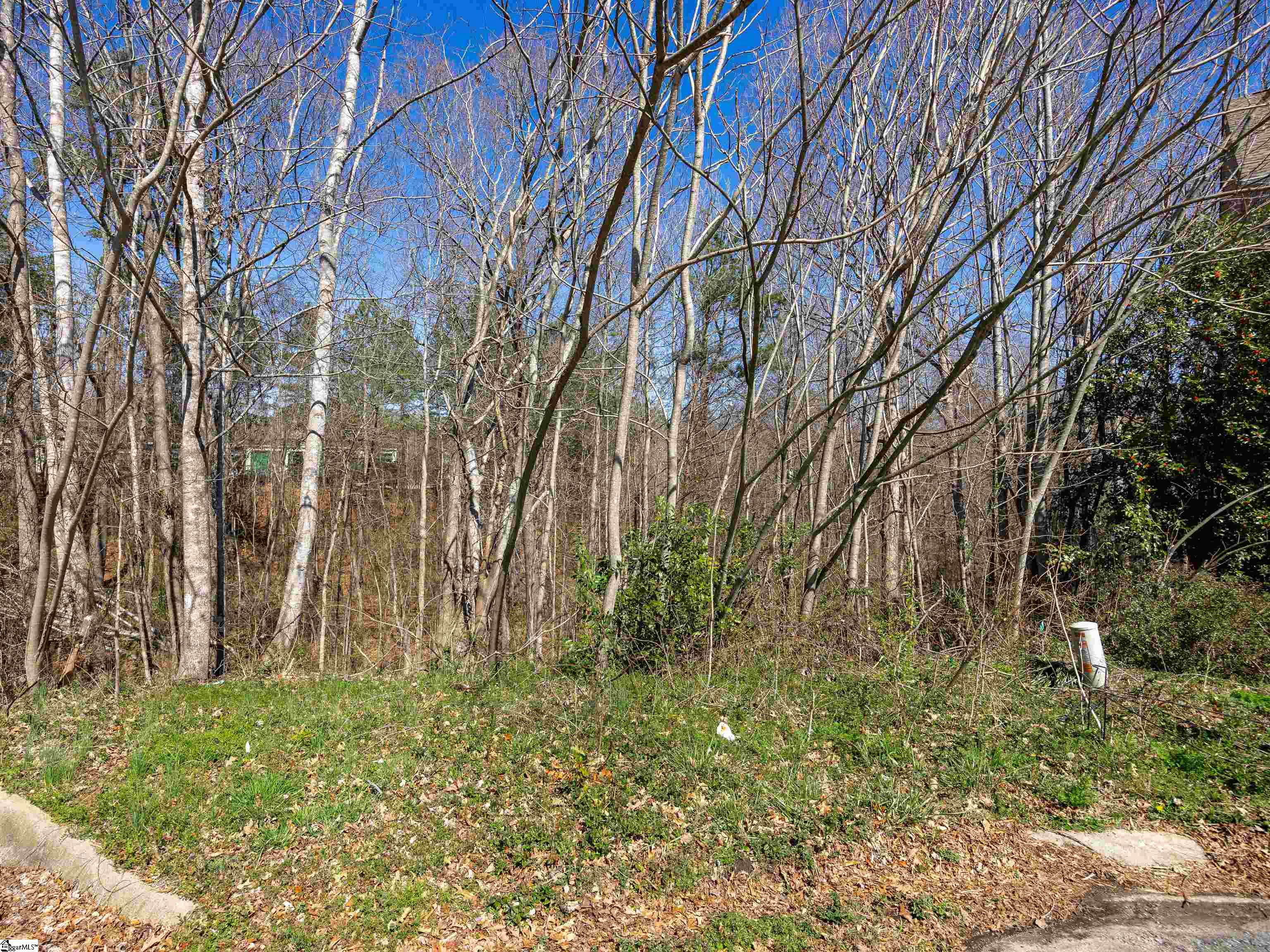 275 Upper Beaver Creek, Moore, South Carolina image 3