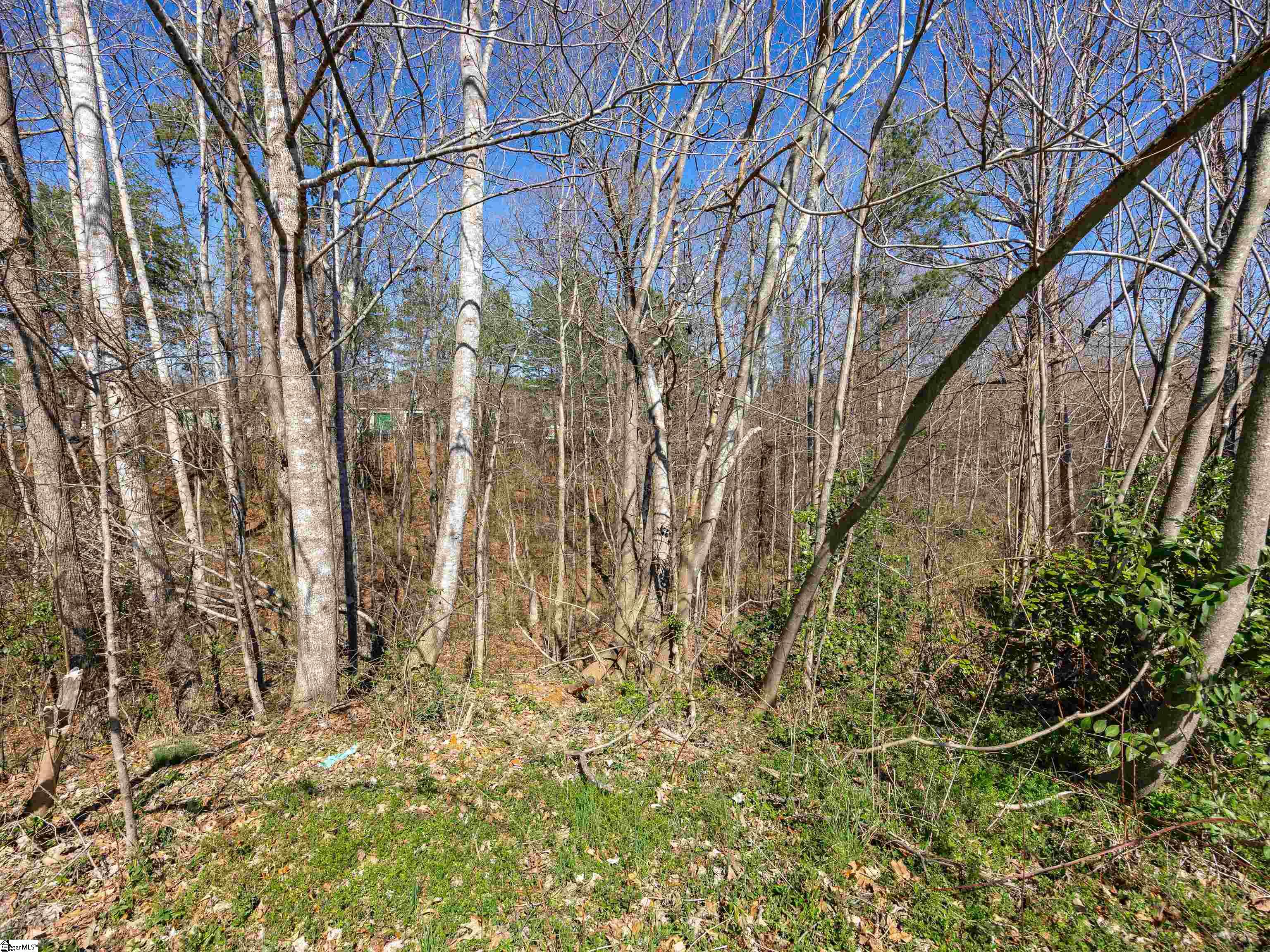 275 Upper Beaver Creek, Moore, South Carolina image 4
