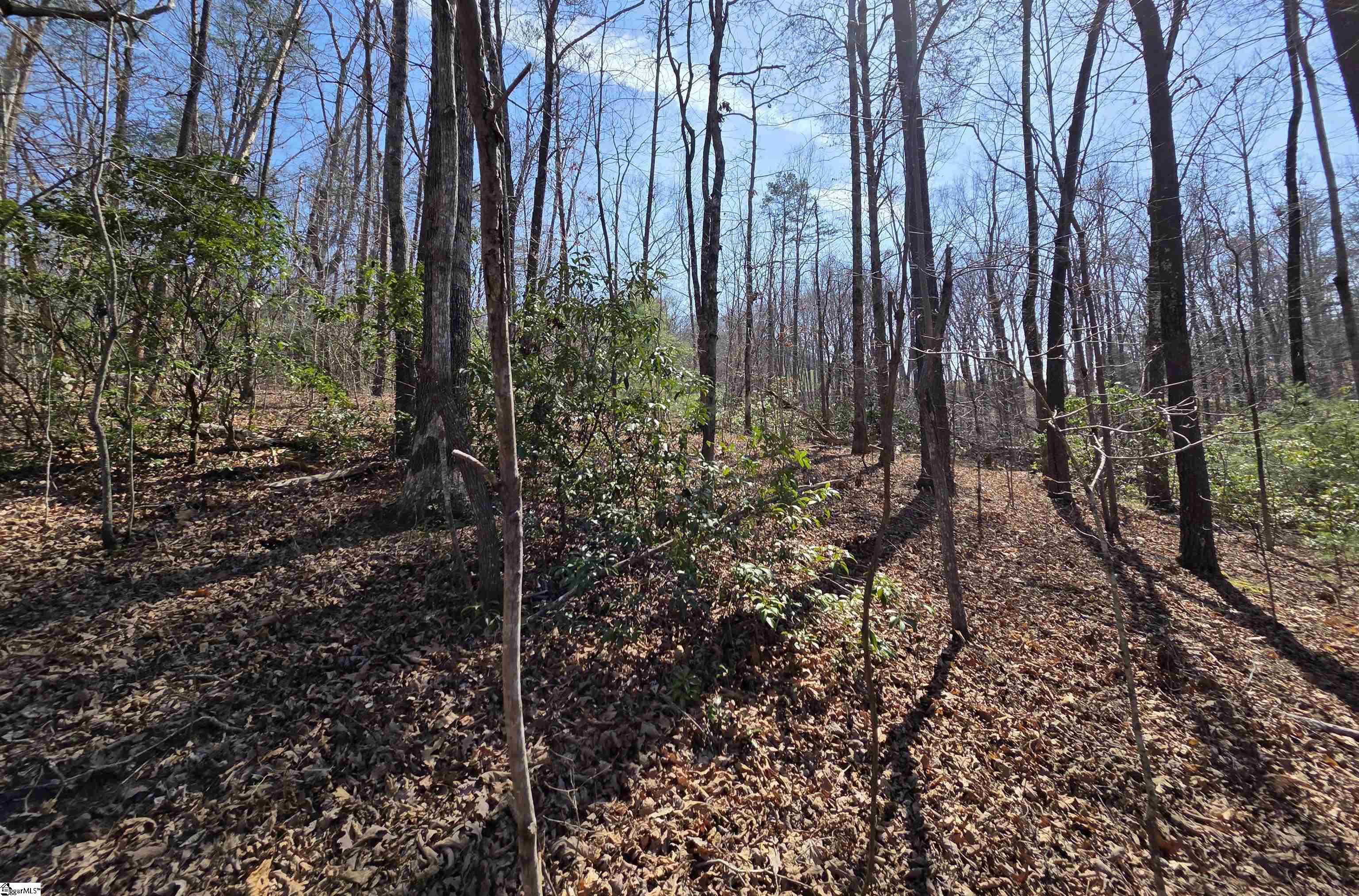 00 Alsace, Travelers Rest, South Carolina image 5