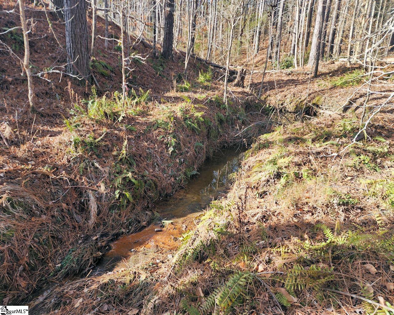 Elledge, Ware Shoals, South Carolina image 12