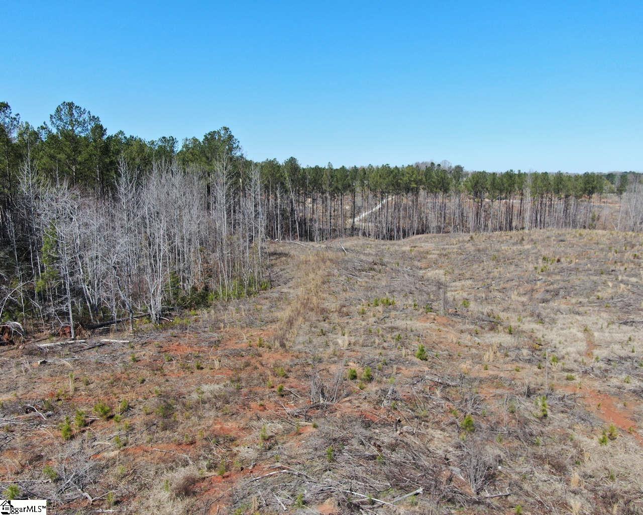 Elledge, Ware Shoals, South Carolina image 4