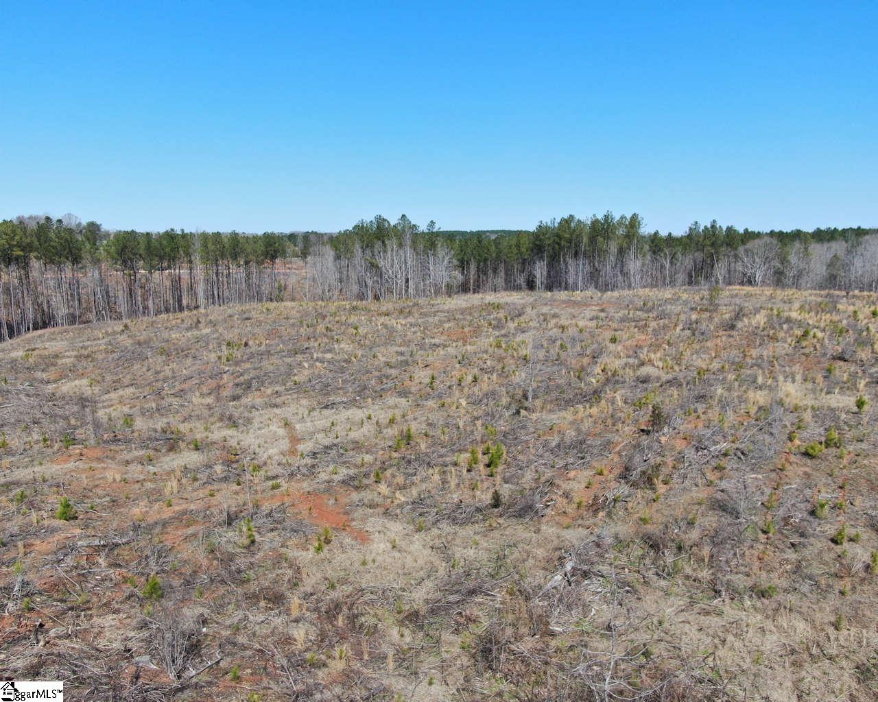 Elledge, Ware Shoals, South Carolina image 5