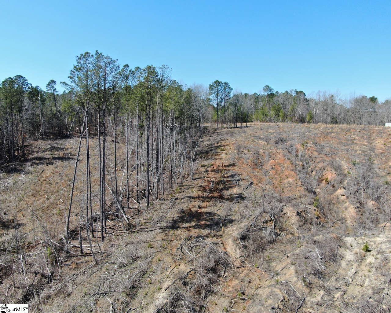 Elledge, Ware Shoals, South Carolina image 7
