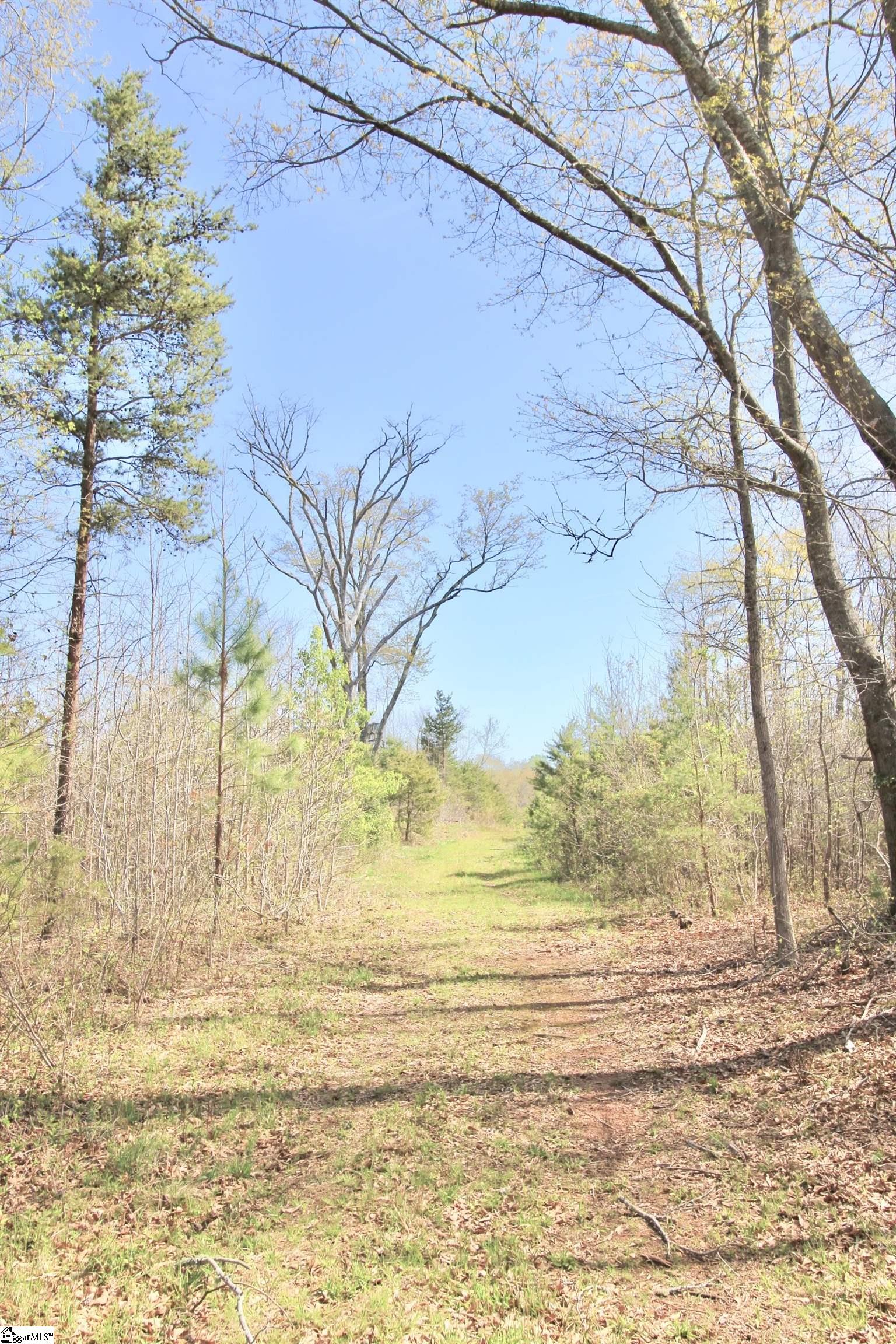 390 Old Mill, Chesnee, South Carolina image 16