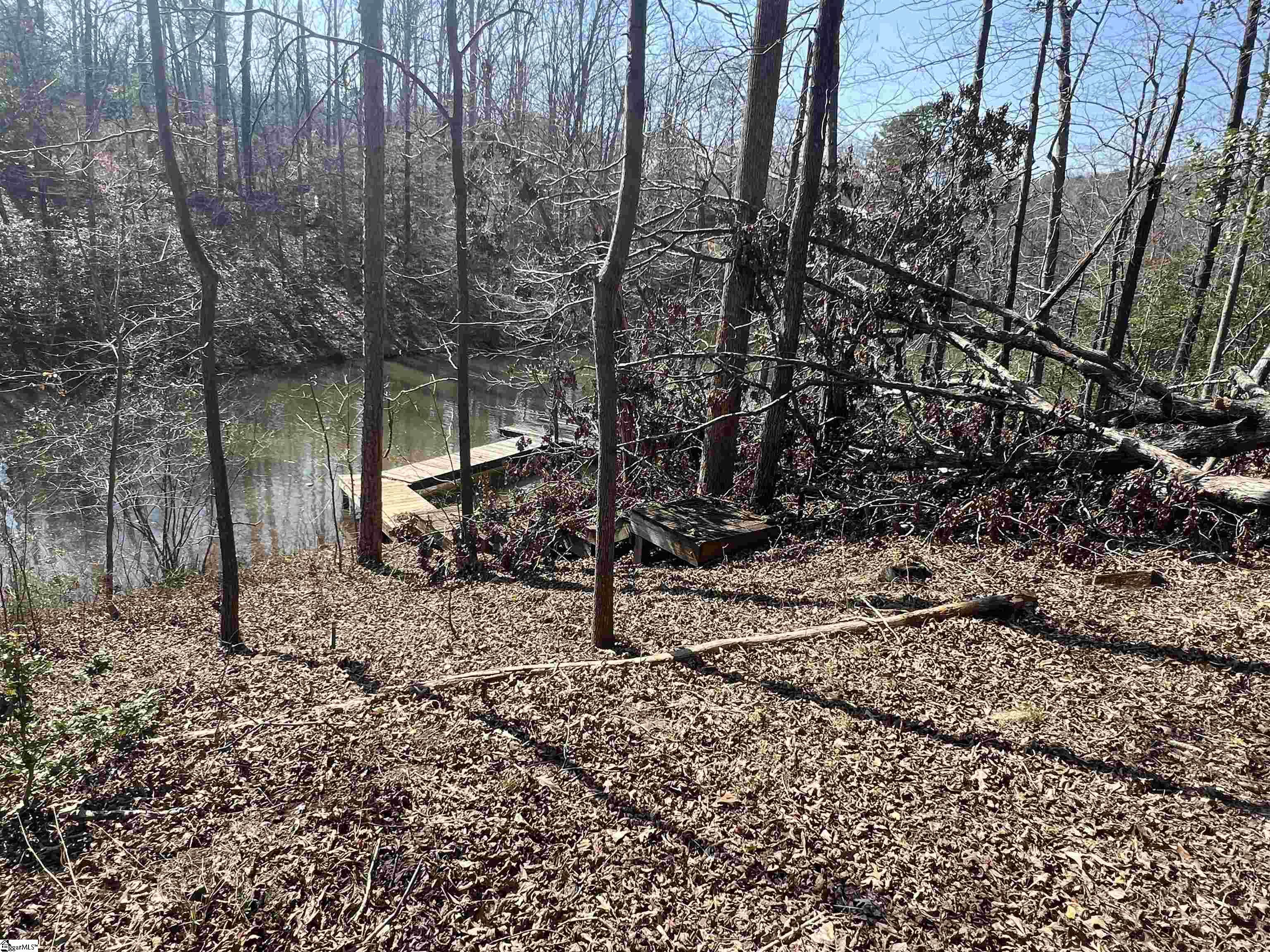 385 Country Oak, Chesnee, South Carolina image 11