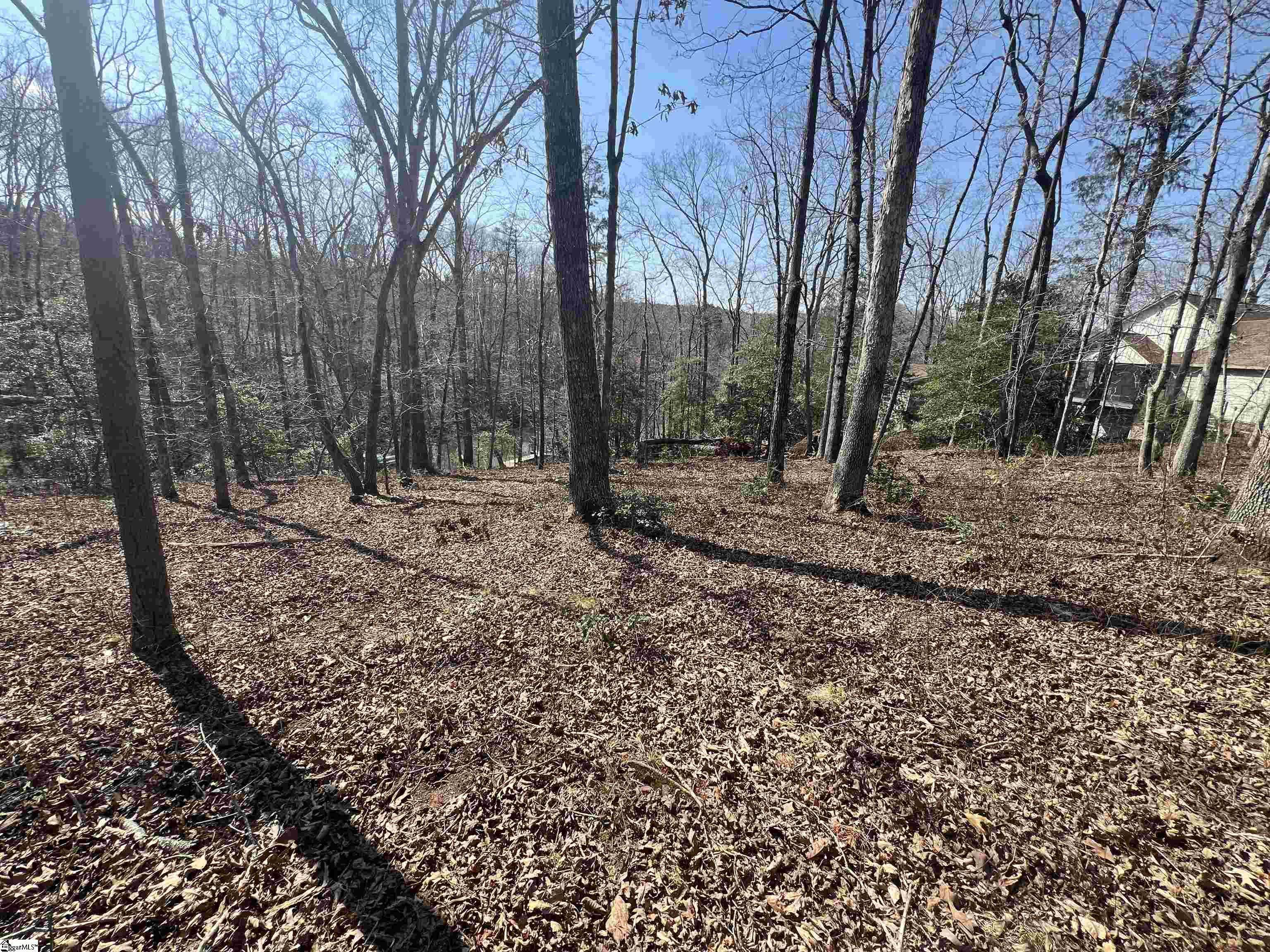 385 Country Oak, Chesnee, South Carolina image 13