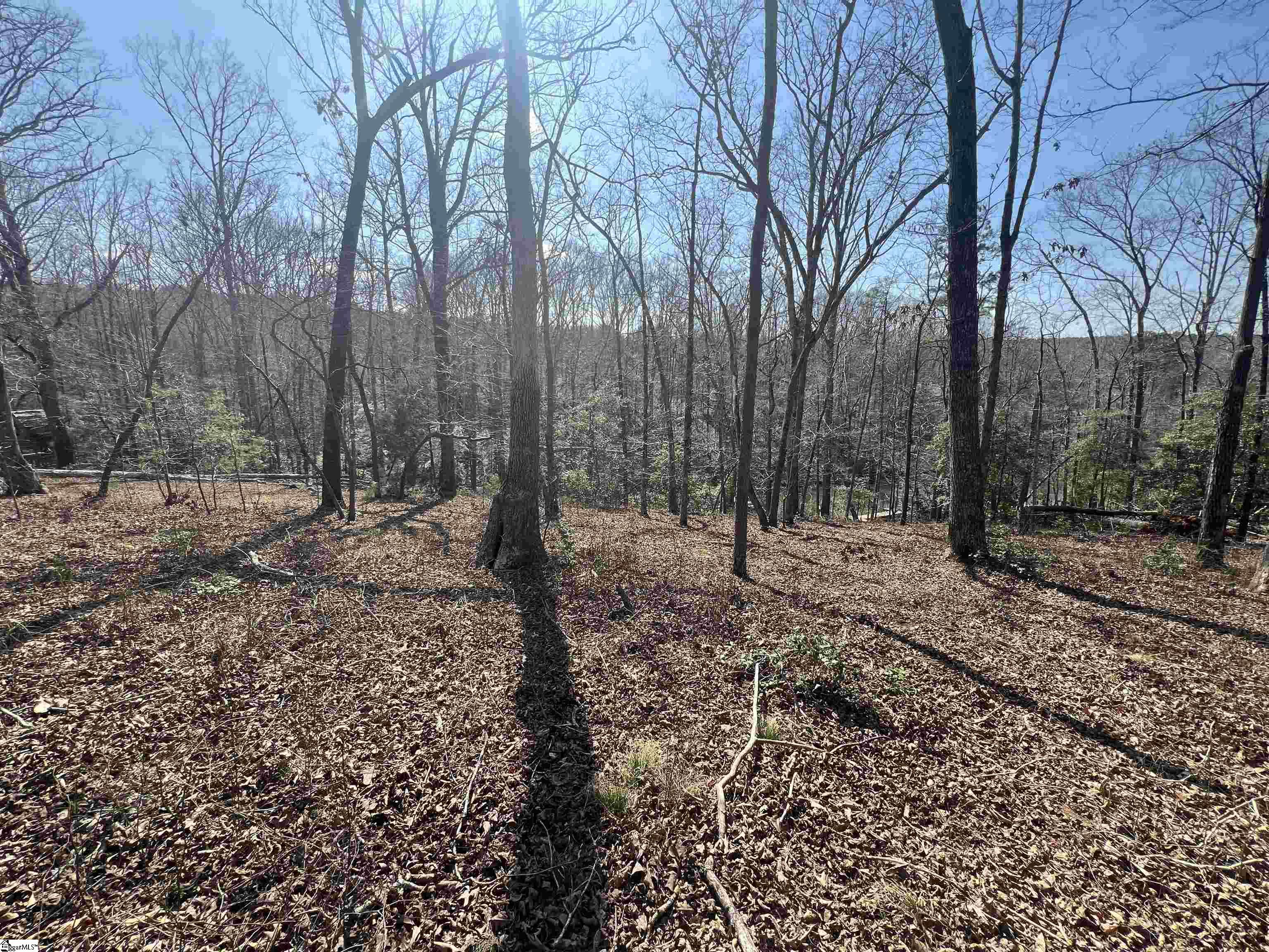 385 Country Oak, Chesnee, South Carolina image 14