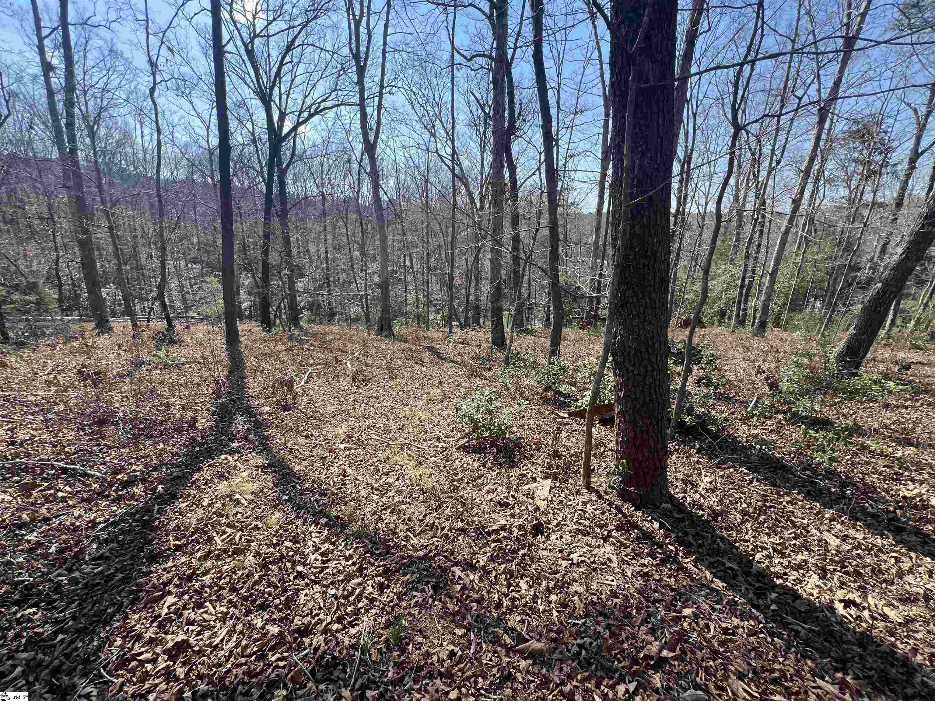 385 Country Oak, Chesnee, South Carolina image 15
