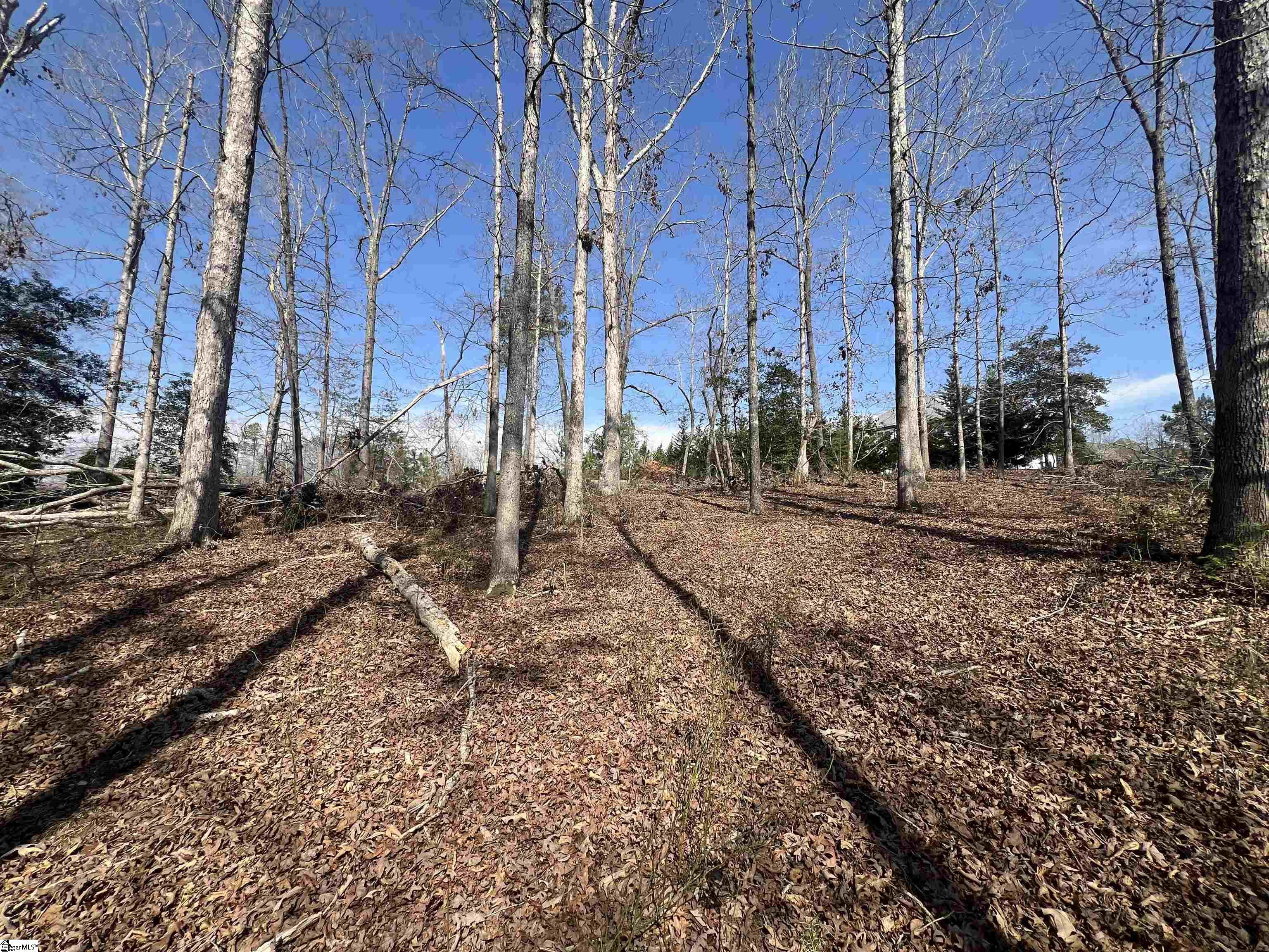 385 Country Oak, Chesnee, South Carolina image 16