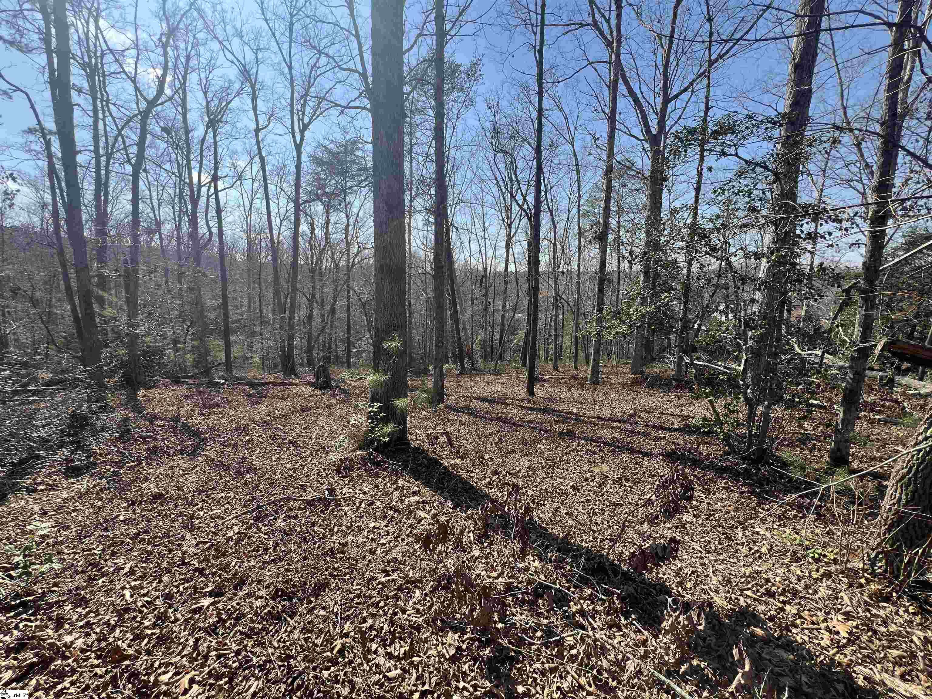 385 Country Oak, Chesnee, South Carolina image 17