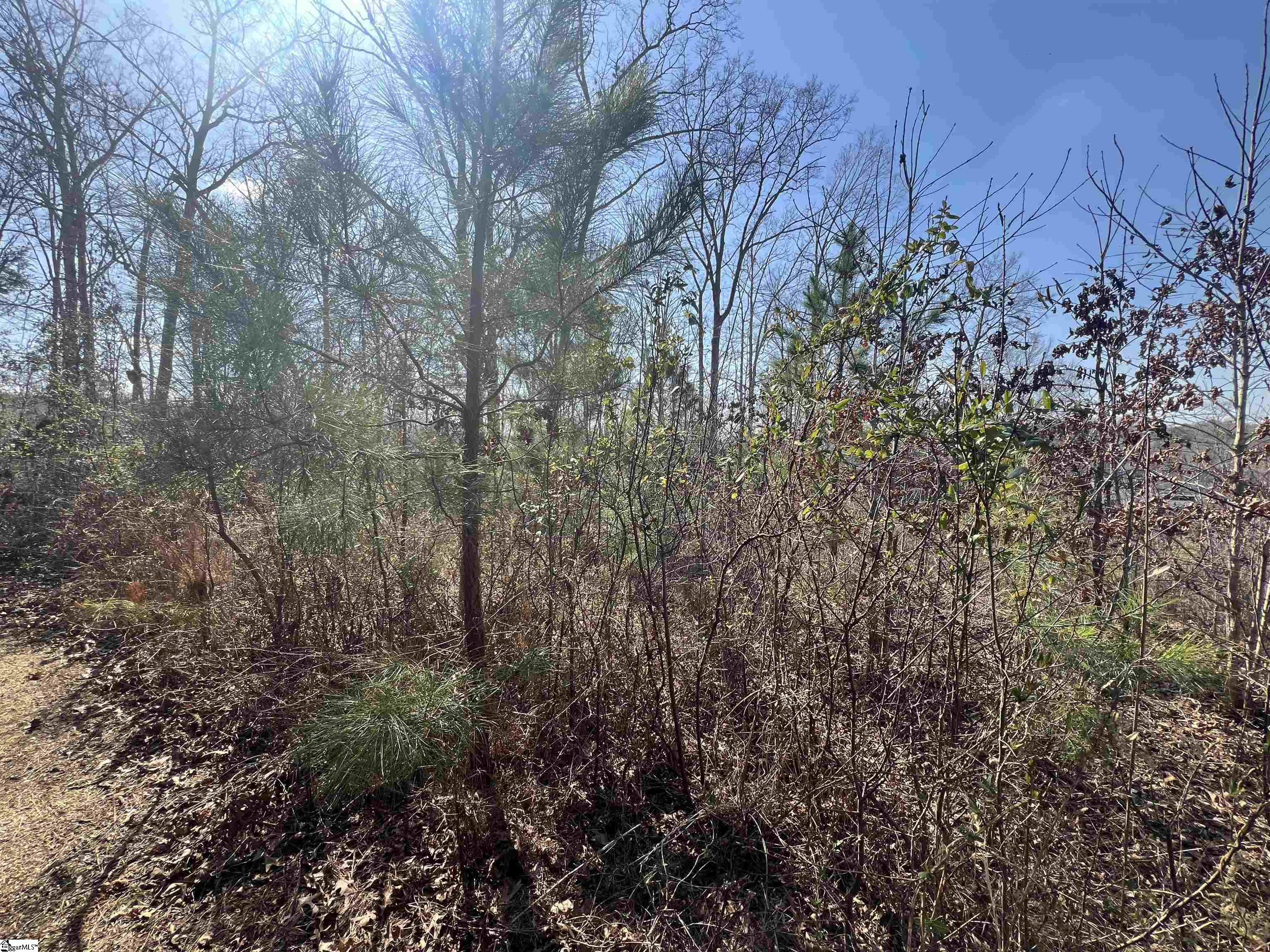 385 Country Oak, Chesnee, South Carolina image 19