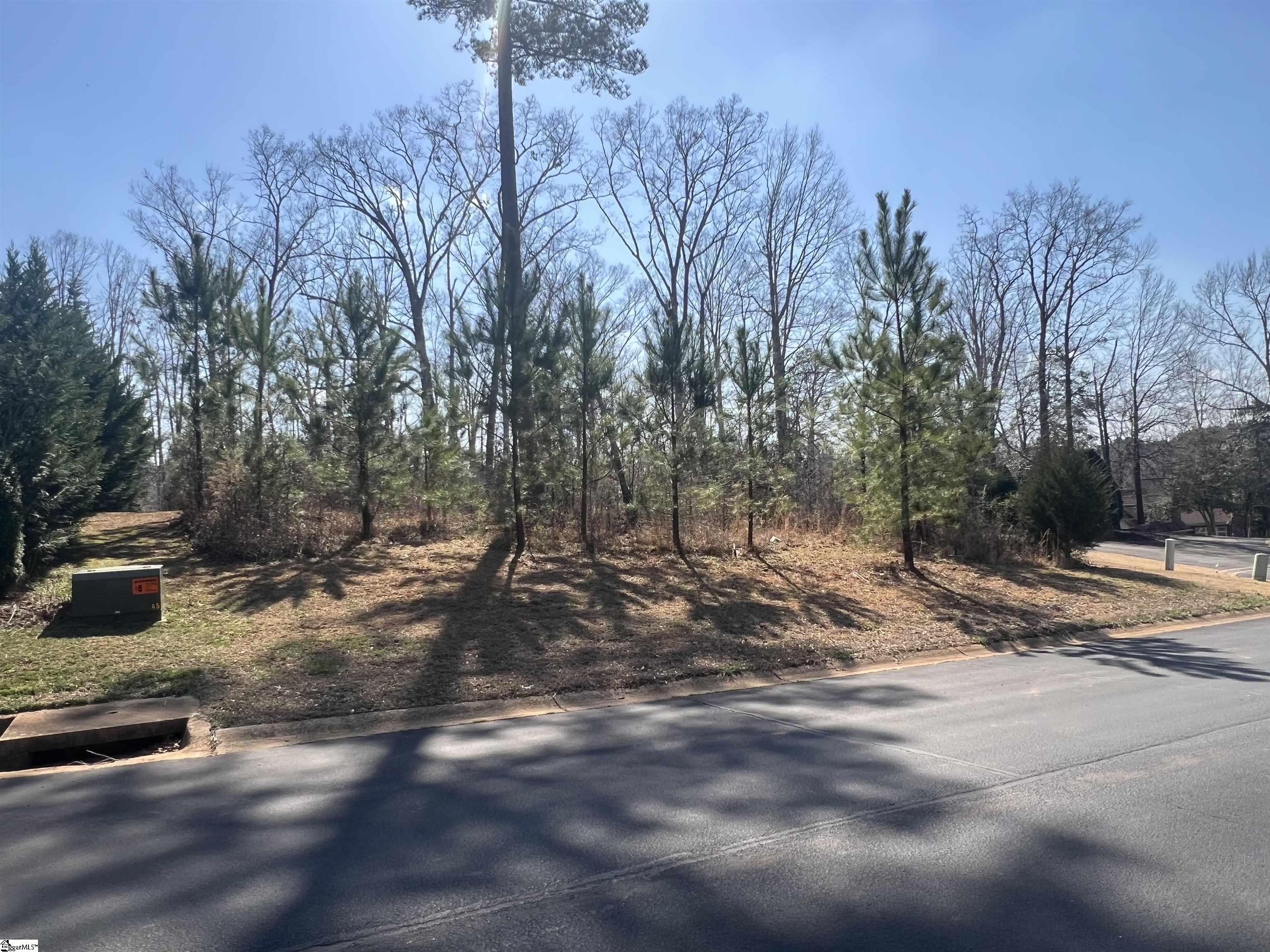 385 Country Oak, Chesnee, South Carolina image 20