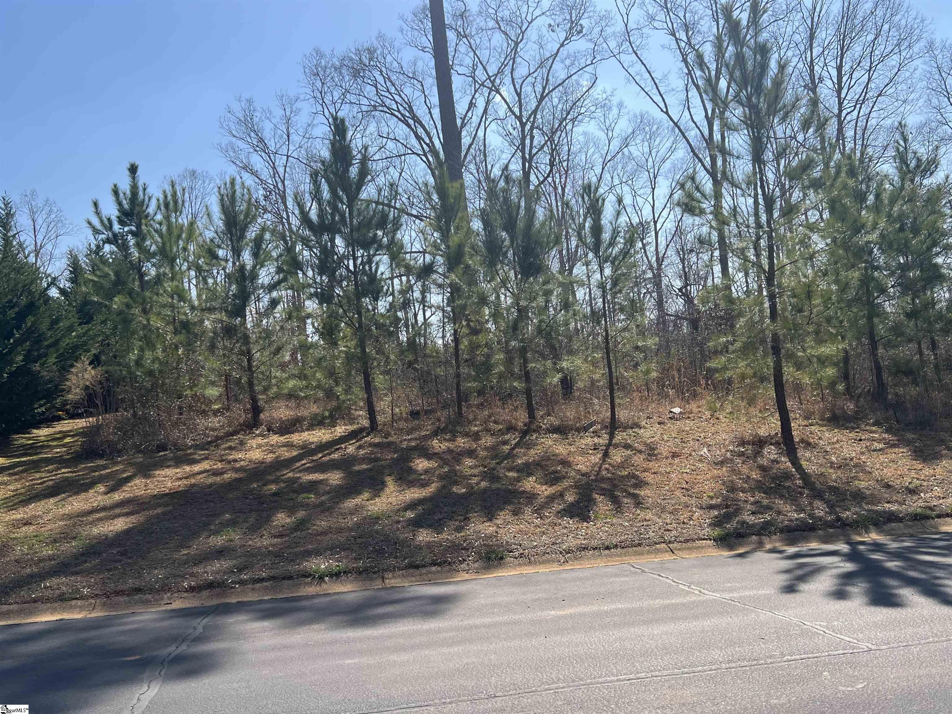 385 Country Oak, Chesnee, South Carolina image 21