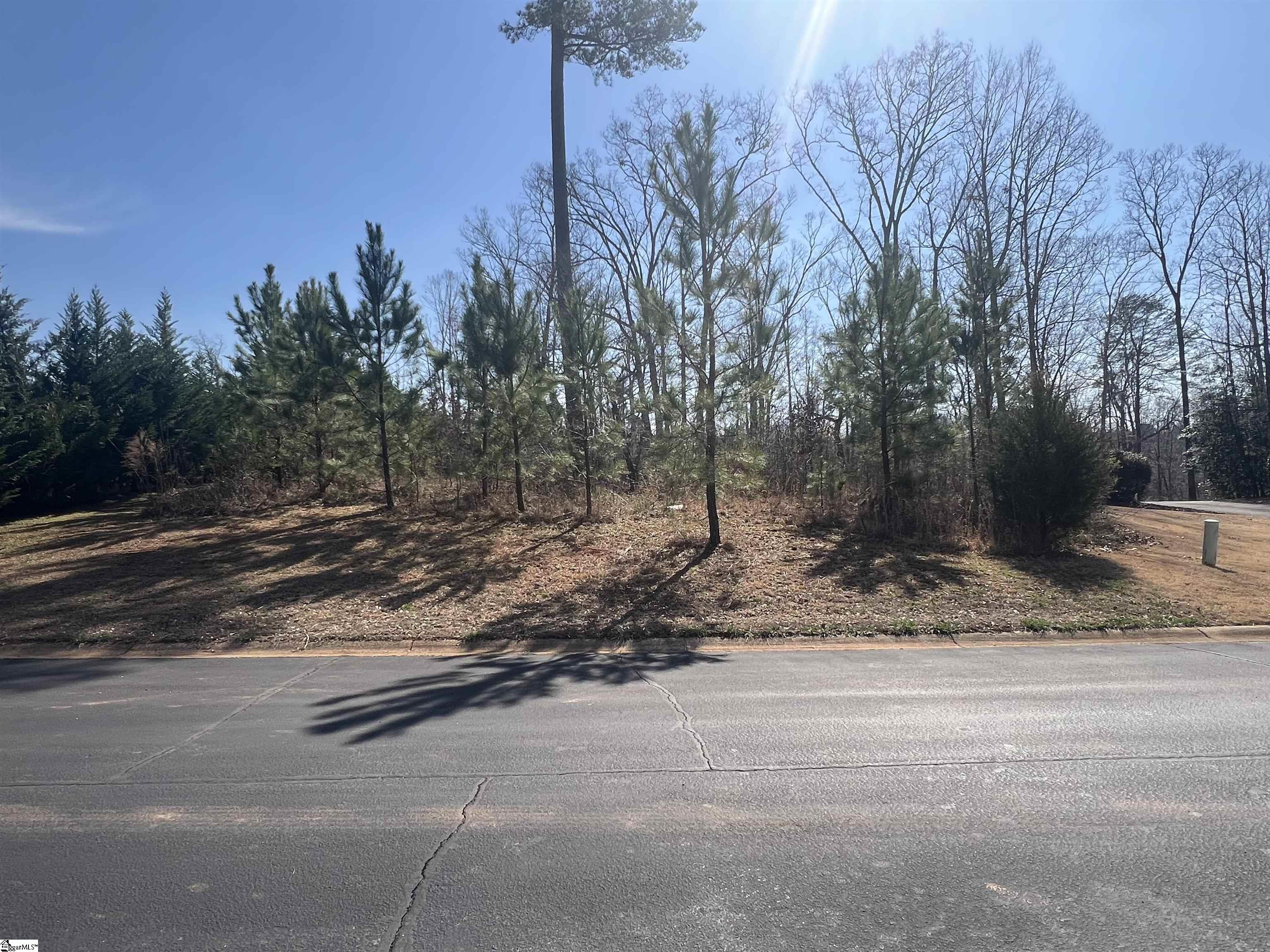 385 Country Oak, Chesnee, South Carolina image 23